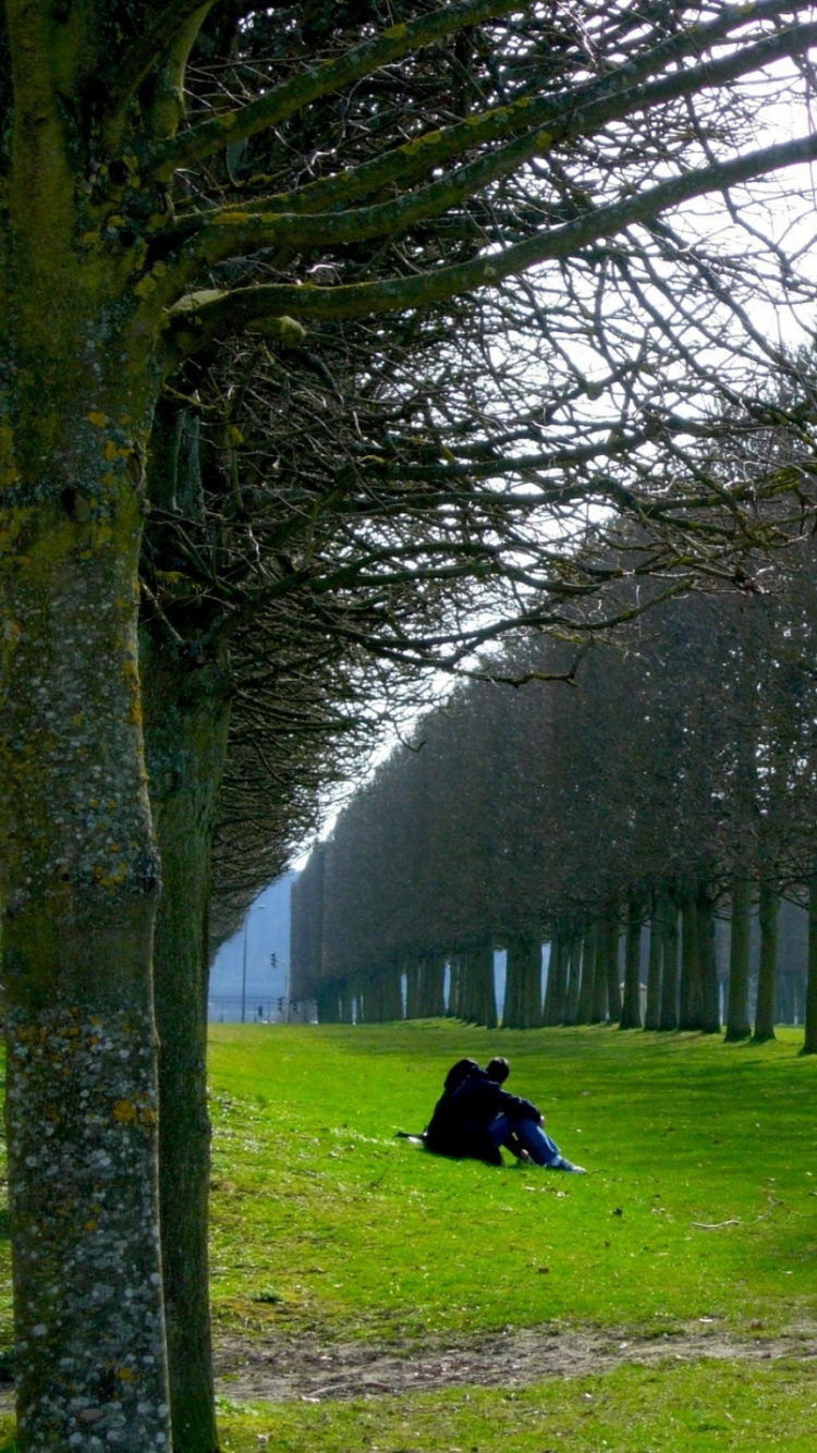 Person in Black Jacket Sitting on Green Grass Surrounded by Trees During Daytime. Wallpaper in 750x1334 Resolution