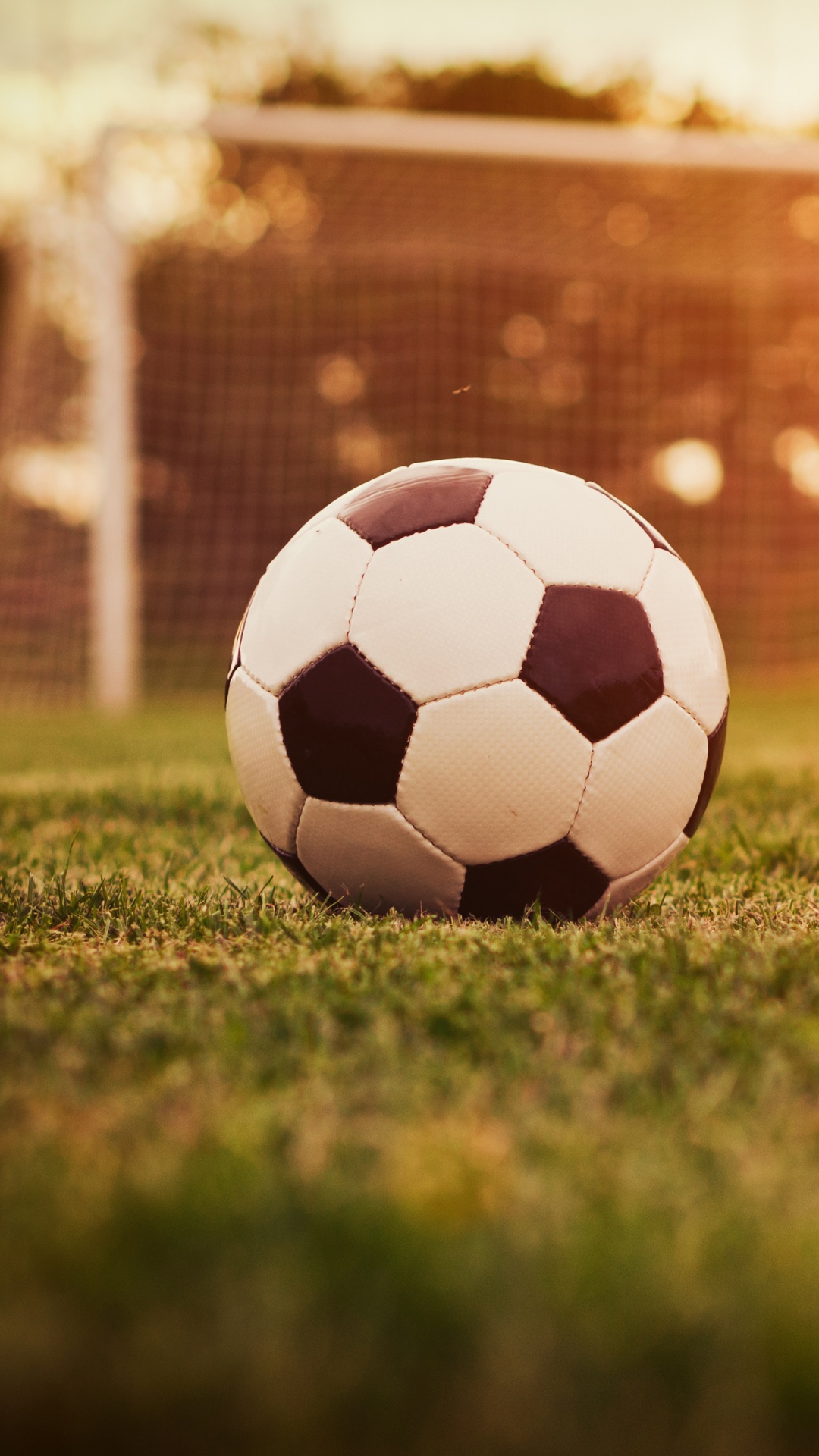 White and Black Soccer Ball on Green Grass Field During Daytime. Wallpaper in 1080x1920 Resolution