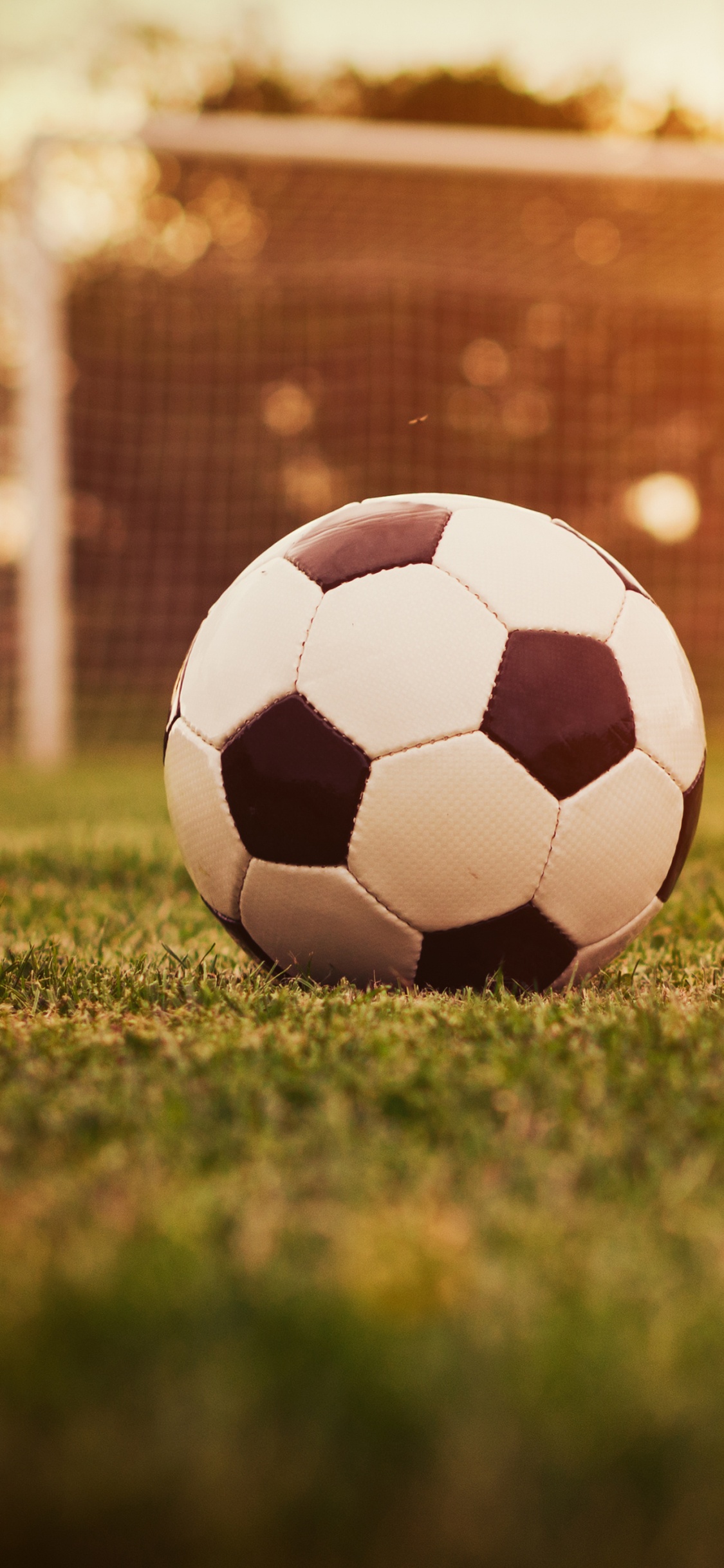 White and Black Soccer Ball on Green Grass Field During Daytime. Wallpaper in 1125x2436 Resolution