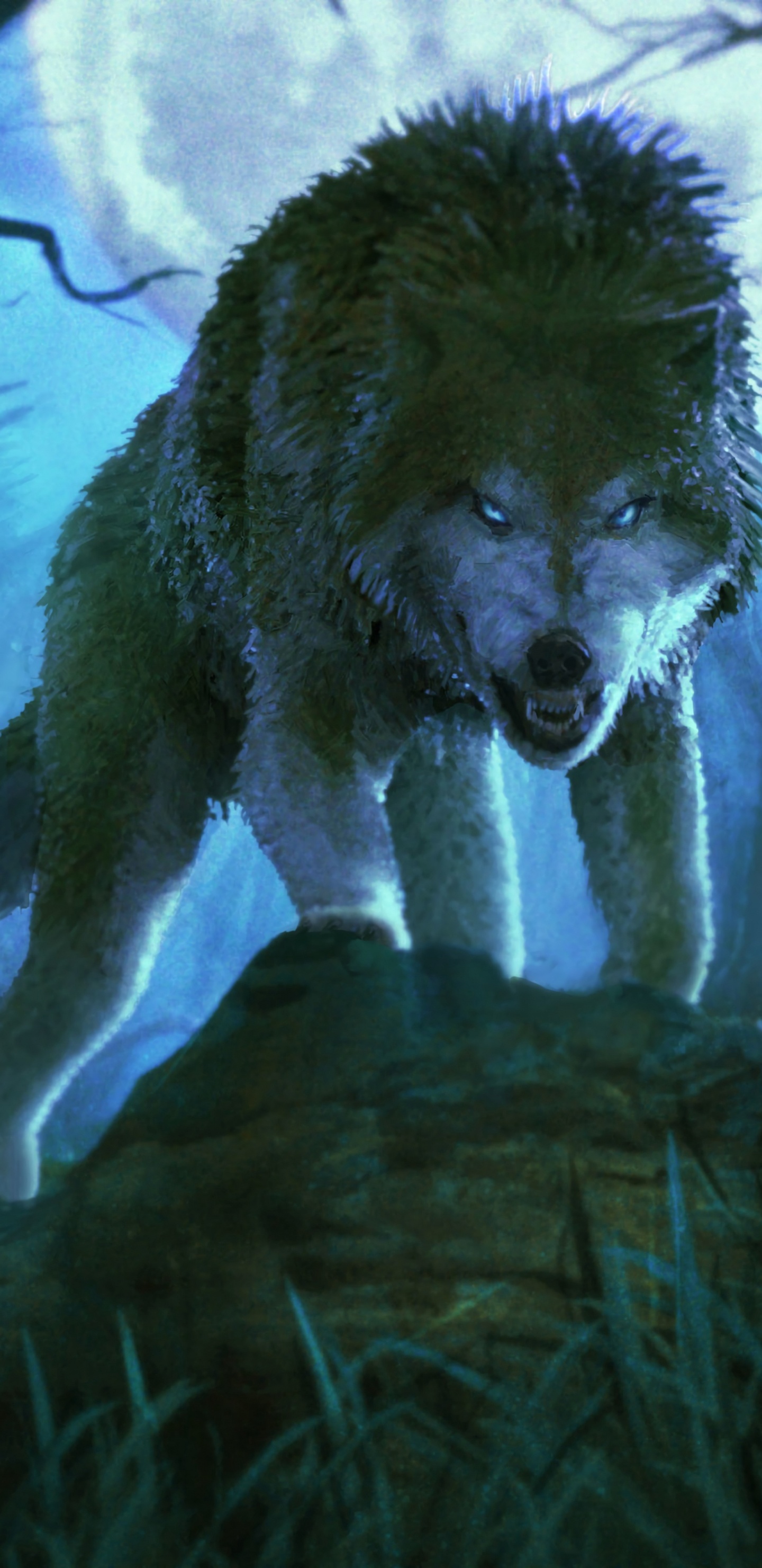 White Wolf on Brown Grass. Wallpaper in 1440x2960 Resolution