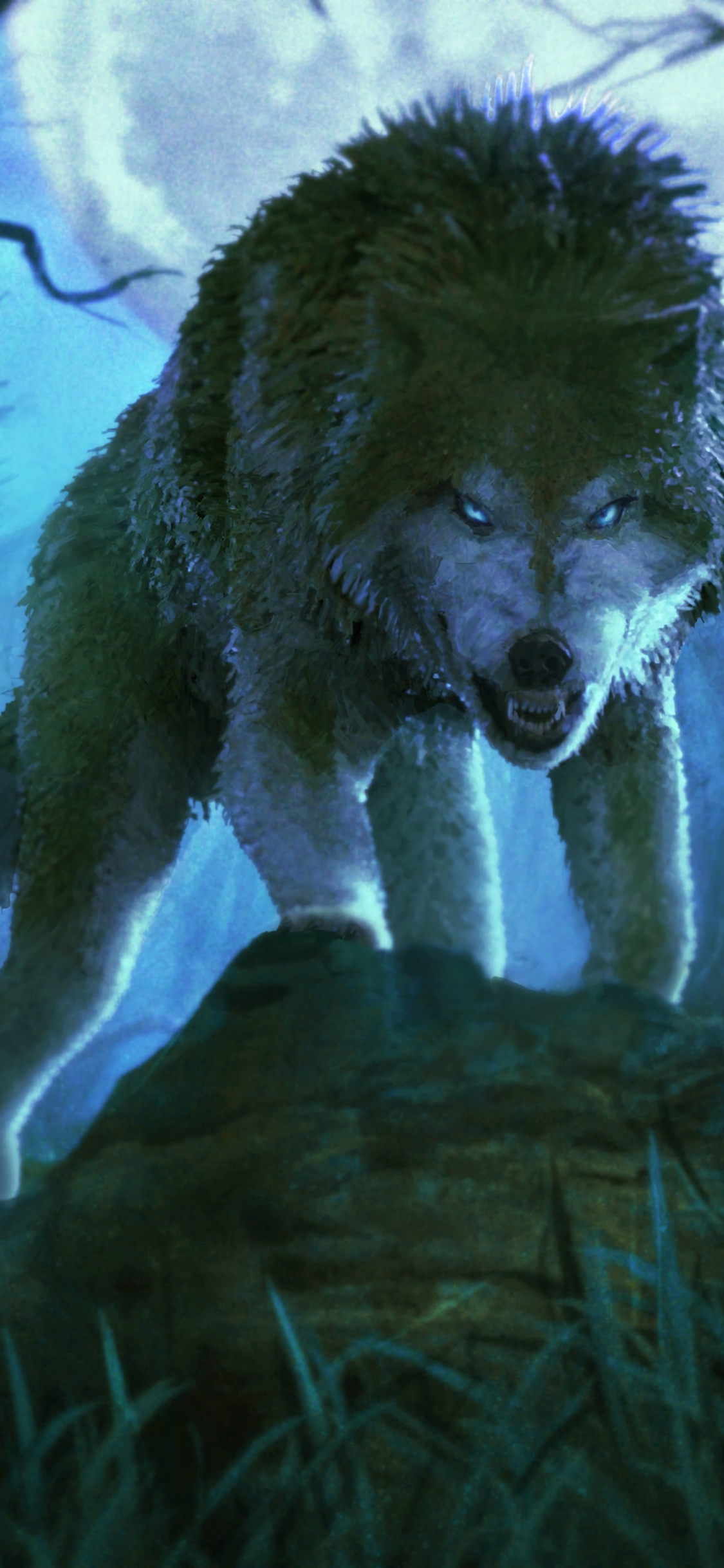 Lobo Blanco en la Hierba Marrón. Wallpaper in 1125x2436 Resolution