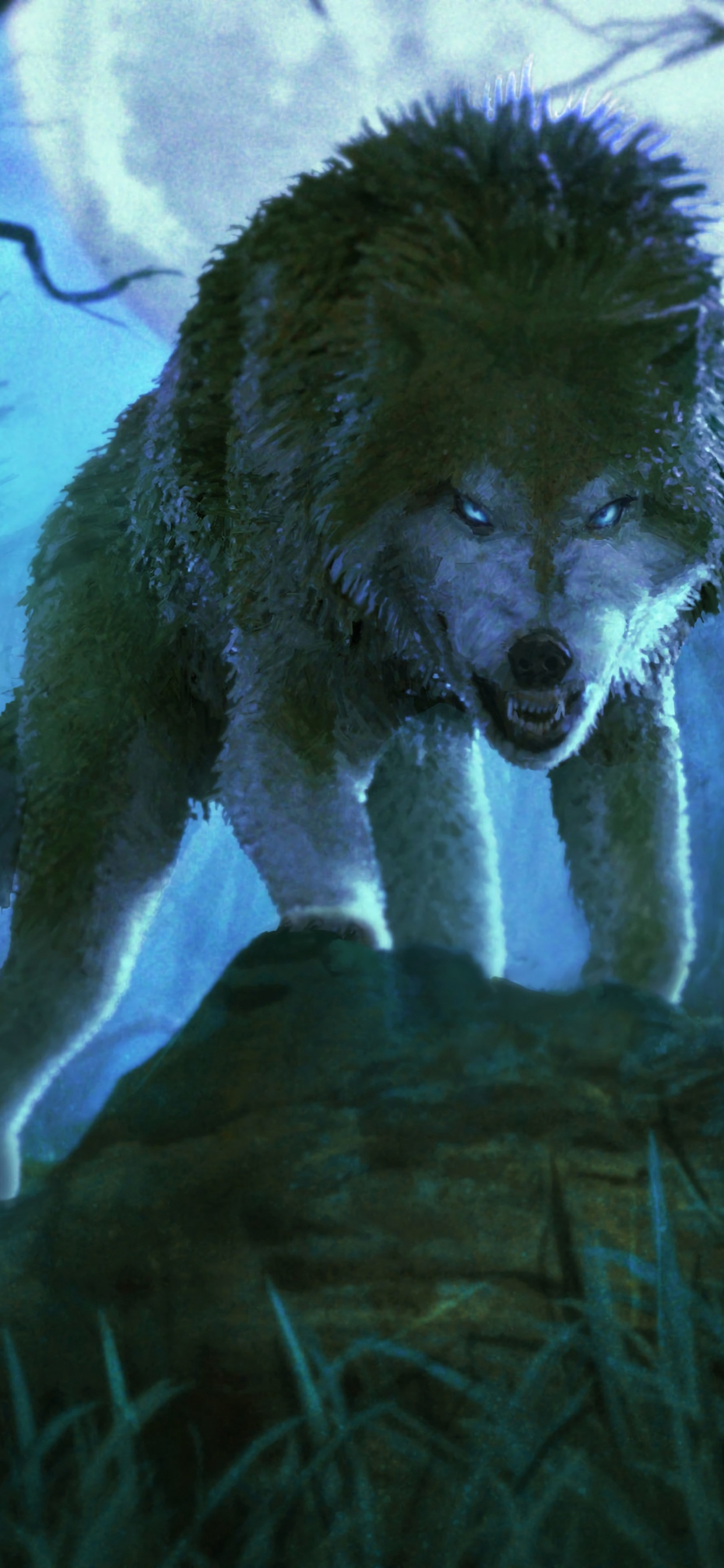 Lobo Blanco en la Hierba Marrón. Wallpaper in 1242x2688 Resolution