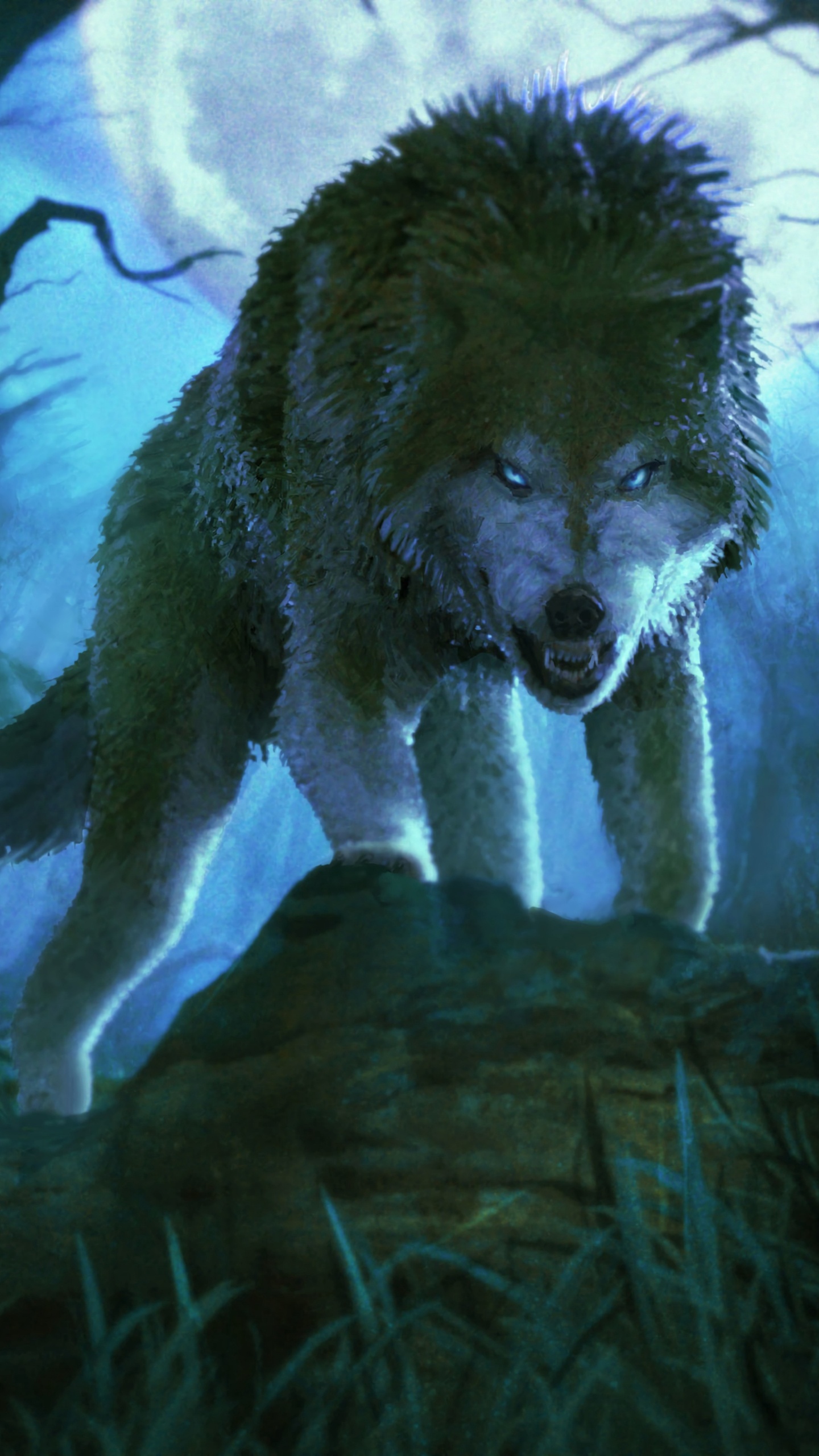 Lobo Blanco en la Hierba Marrón. Wallpaper in 1440x2560 Resolution