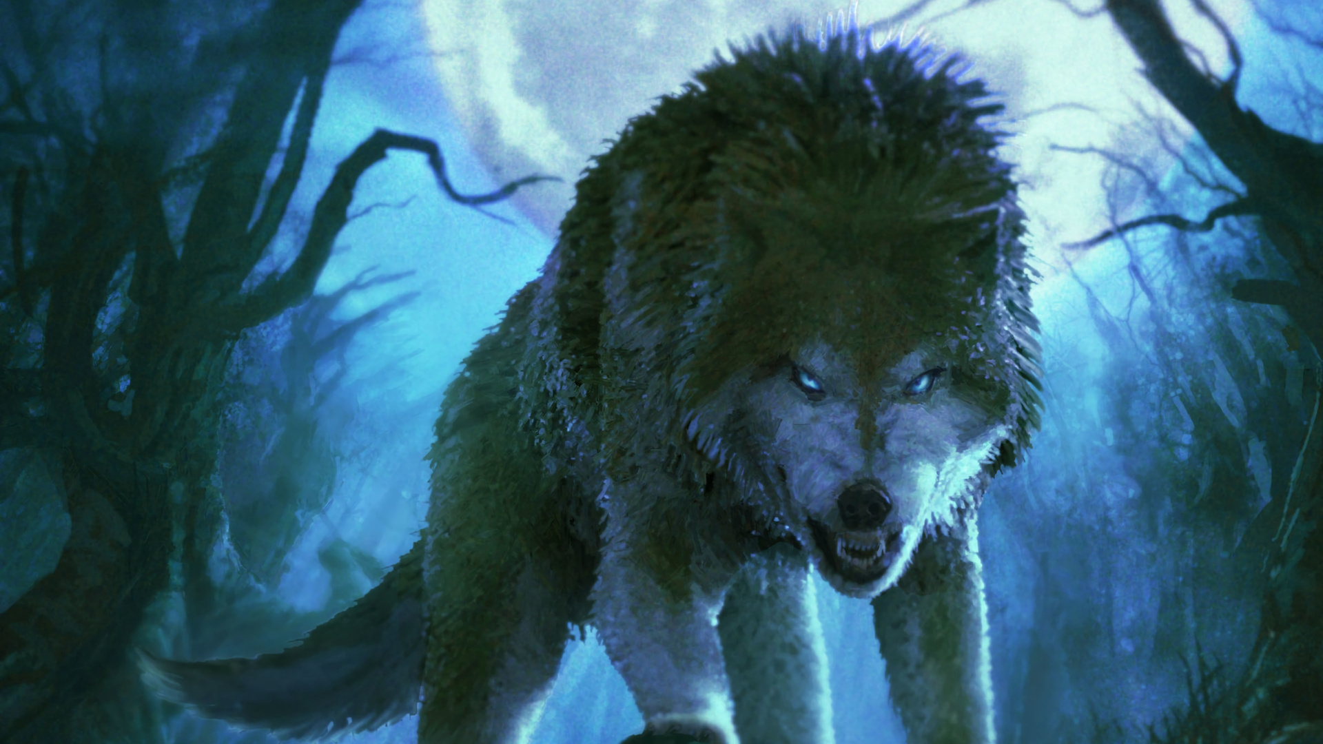 Loup Blanc Sur L'herbe Brune. Wallpaper in 1920x1080 Resolution