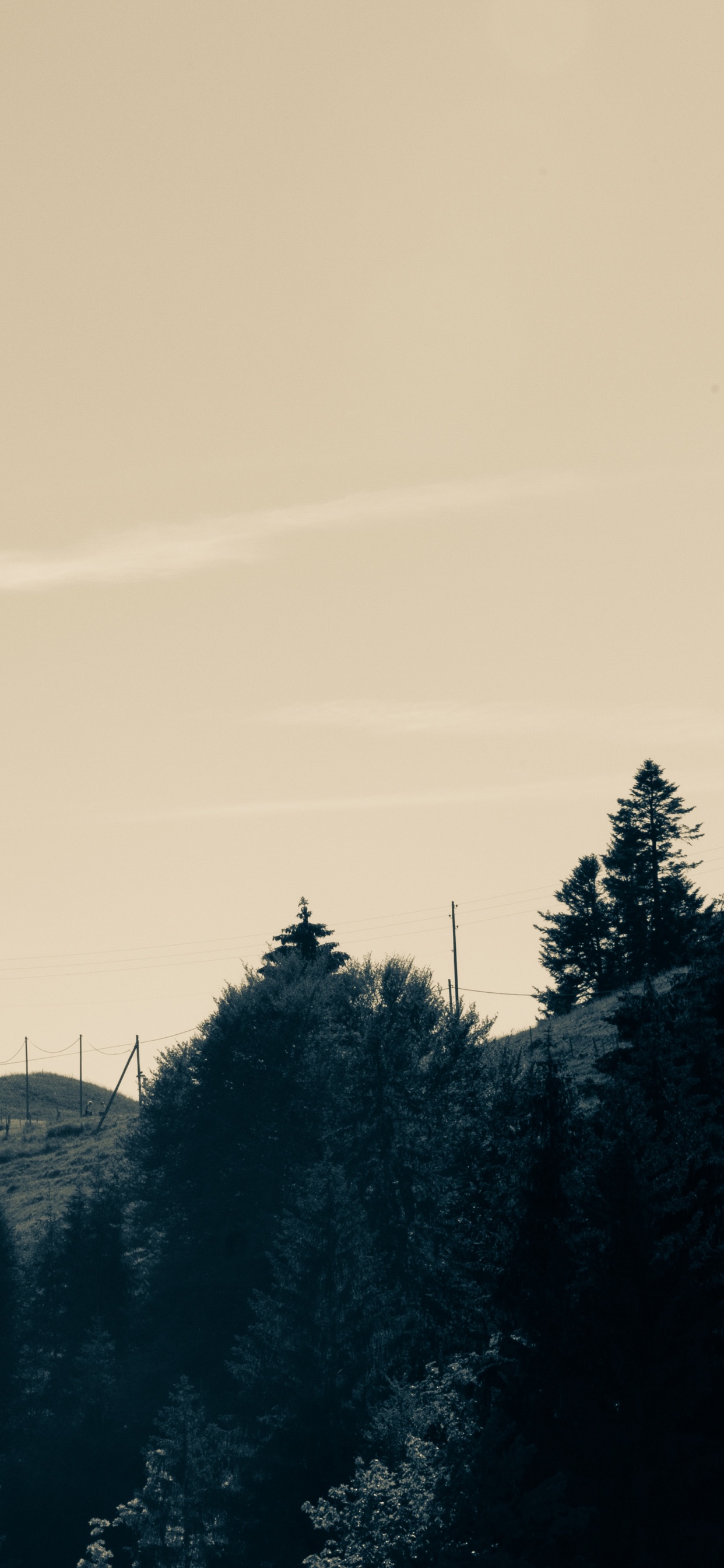 Hiver, Matin, Noir, Paysage Naturel, Silhouette. Wallpaper in 1242x2688 Resolution