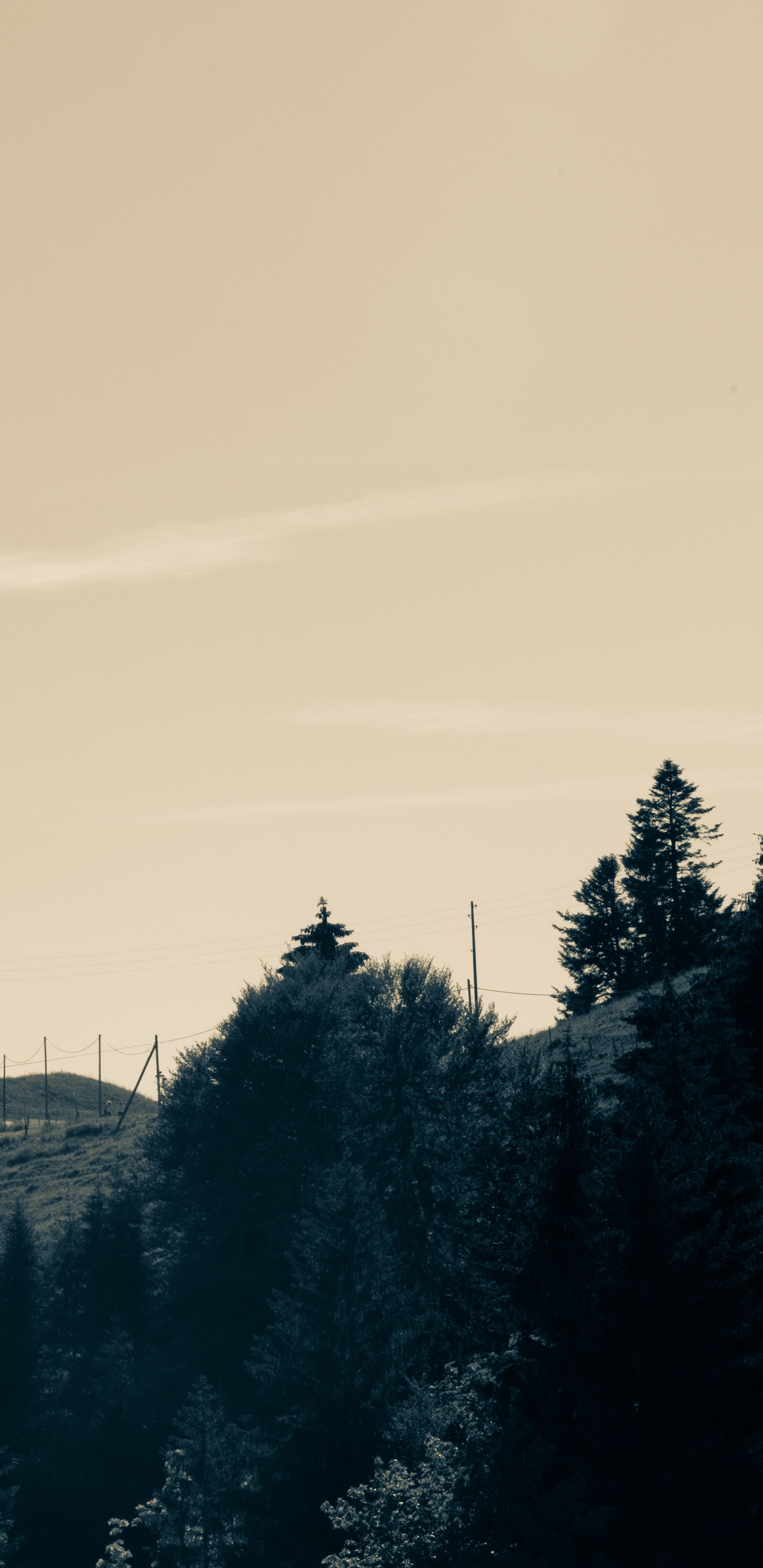 Hiver, Matin, Noir, Paysage Naturel, Silhouette. Wallpaper in 1440x2960 Resolution