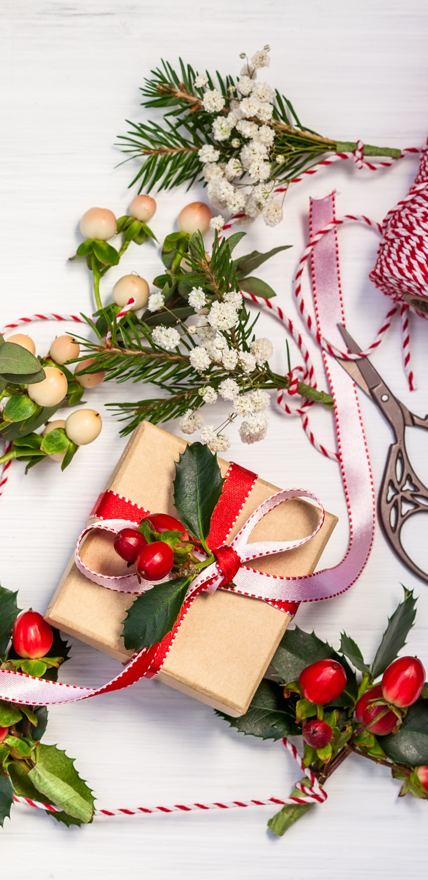 New Year, Christmas Day, Holly, Christmas Decoration, Flower. Wallpaper in 1440x2960 Resolution