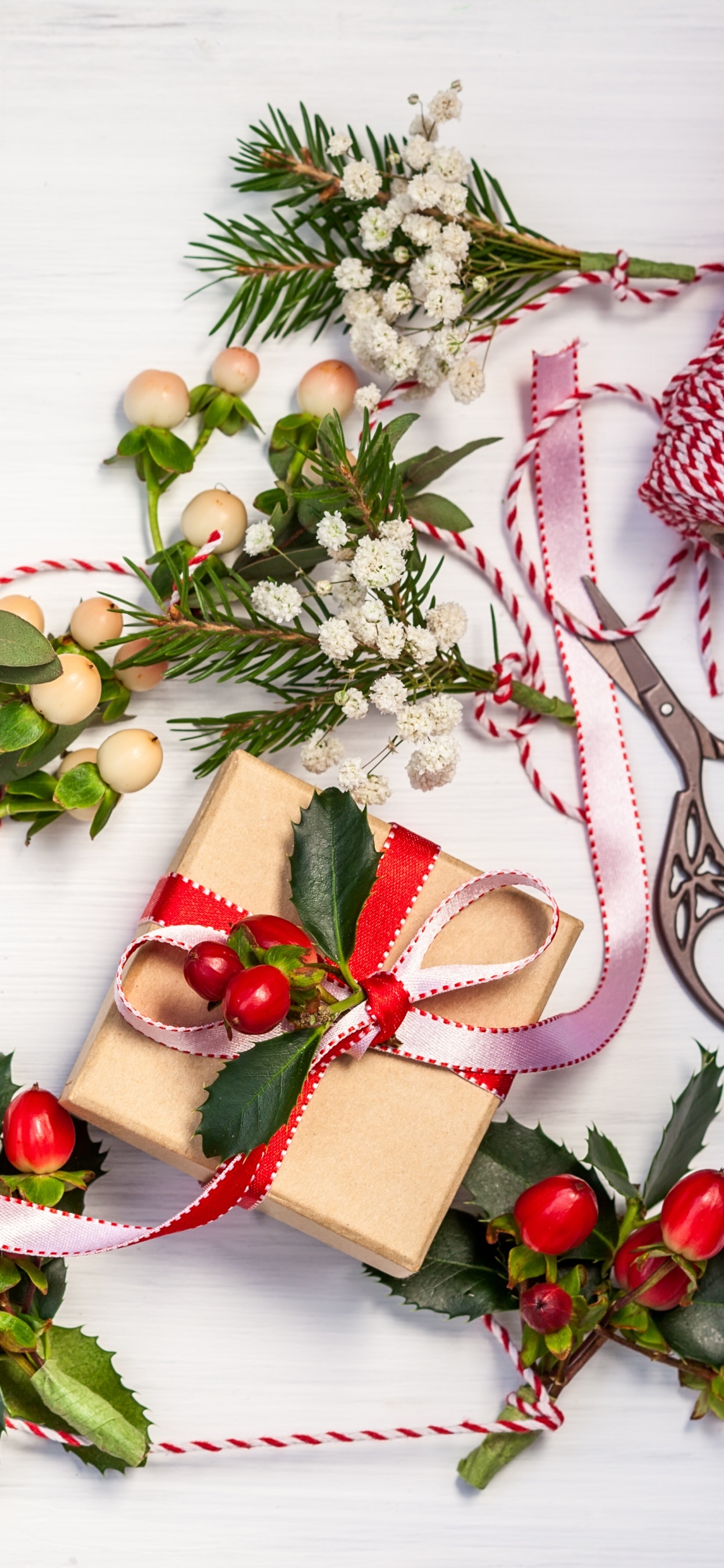 Neujahr, Weihnachten, Holly, Weihnachtsdekoration, Floristik. Wallpaper in 1242x2688 Resolution