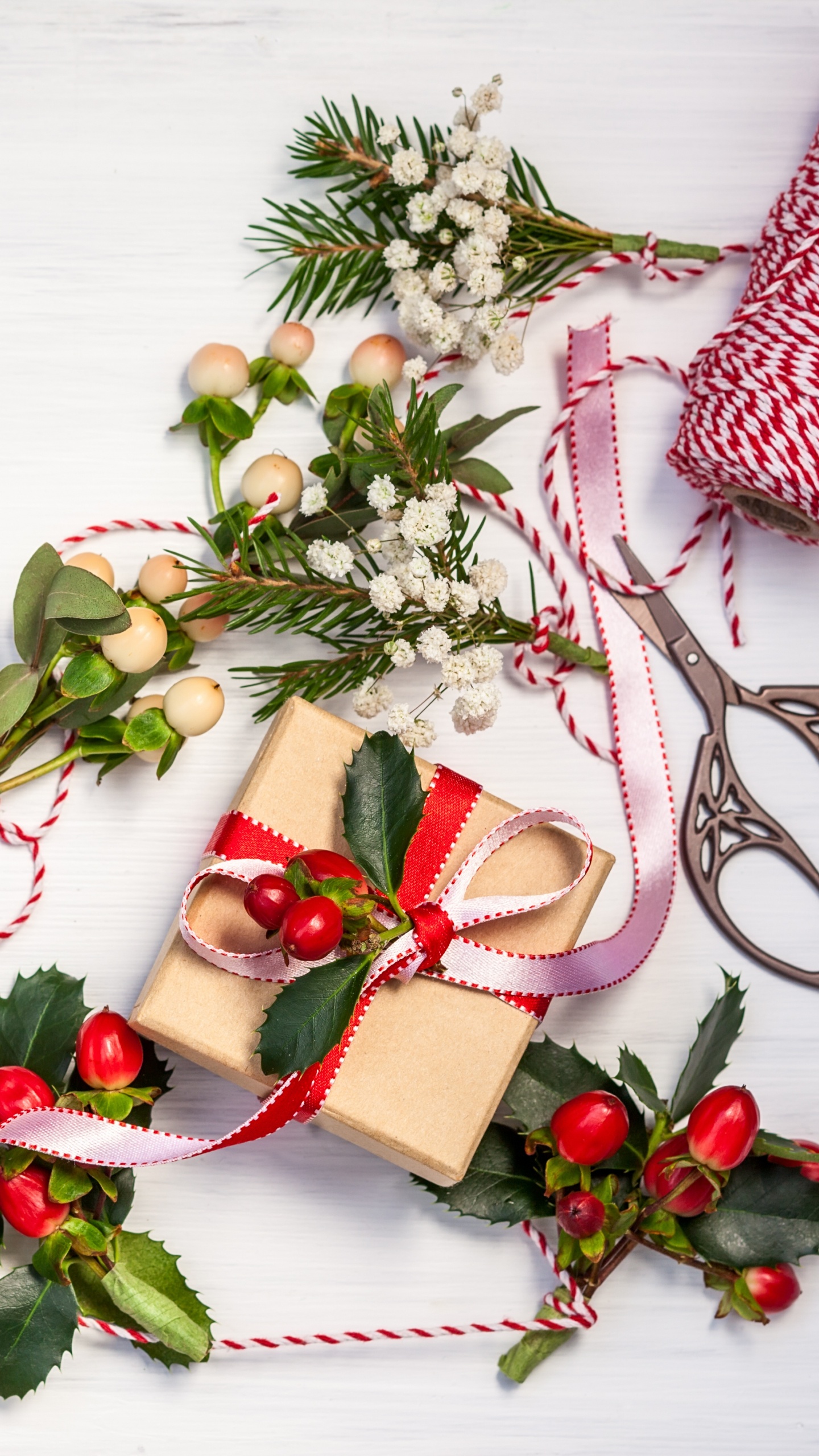 Neujahr, Weihnachten, Holly, Weihnachtsdekoration, Floristik. Wallpaper in 1440x2560 Resolution