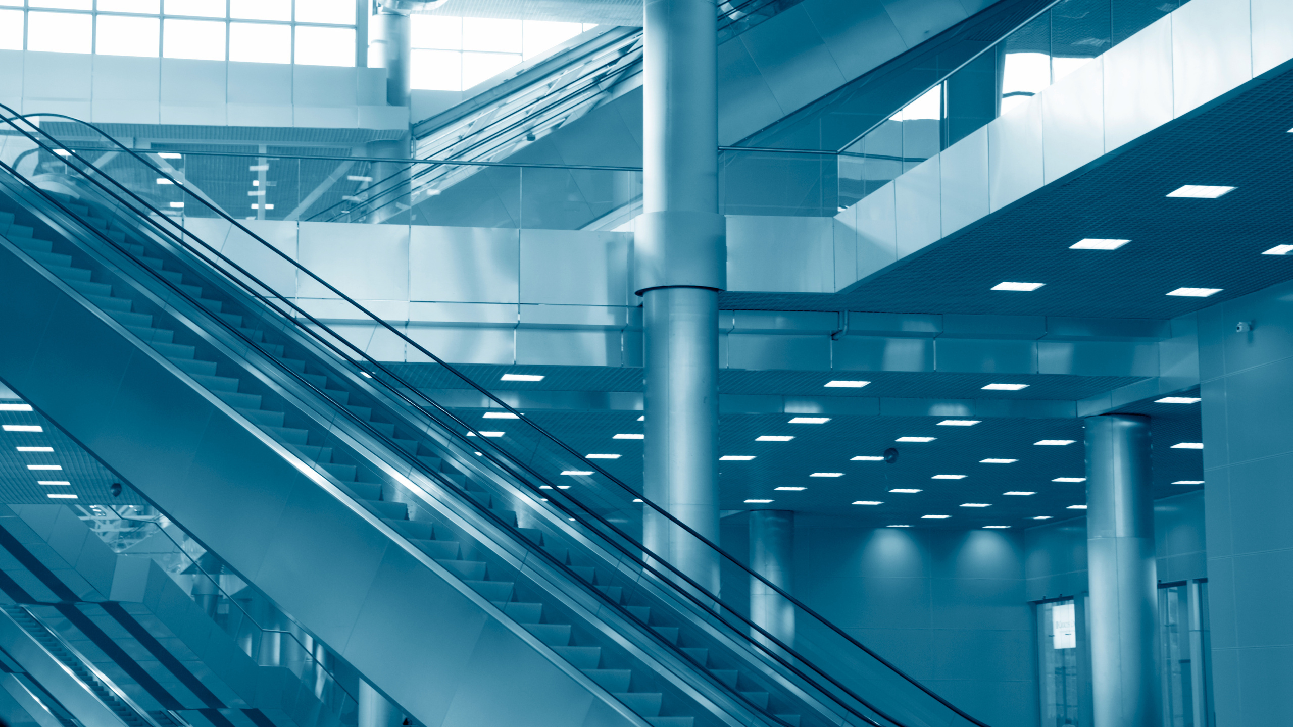 White and Blue Metal Ceiling. Wallpaper in 2560x1440 Resolution