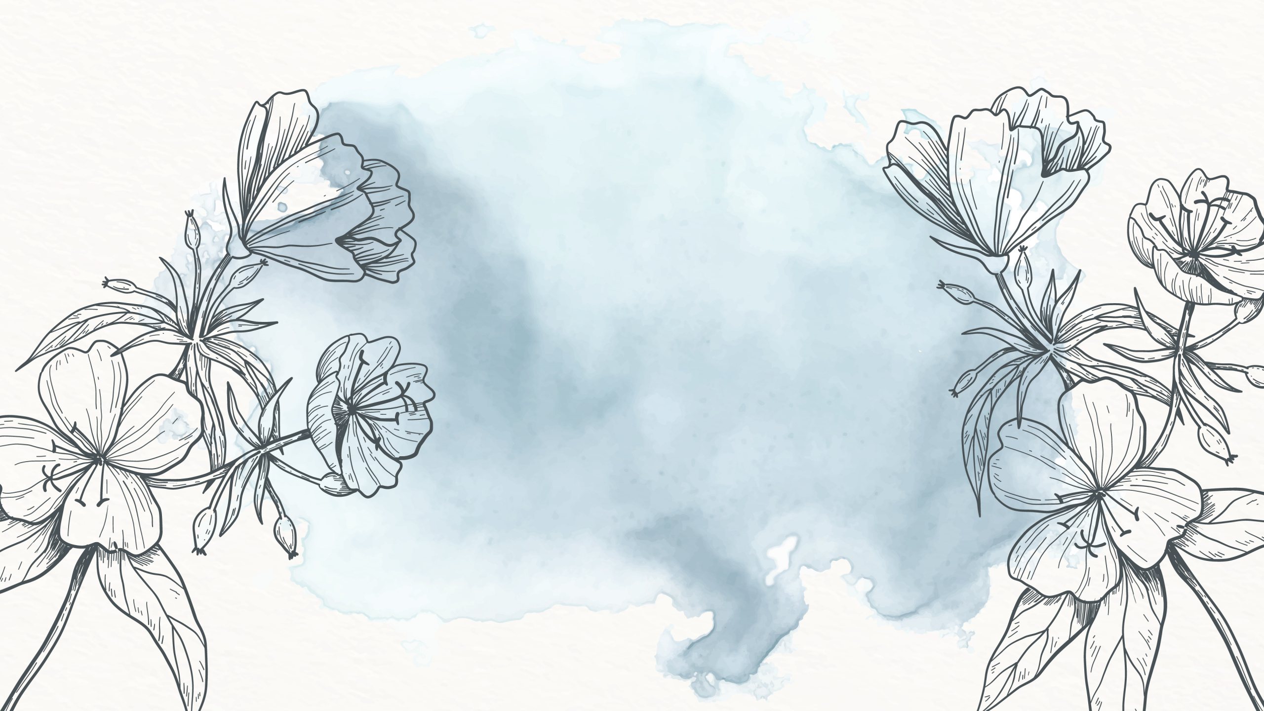 美学, 白色, 性质, 节肢动物, 昆虫 壁纸 2560x1440 允许