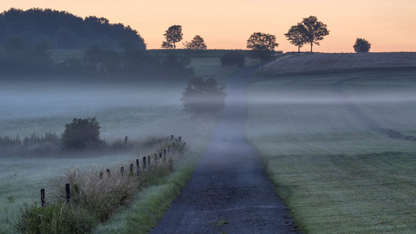 Niebla, Qarakesek, Ambiente, Bruma, Paisaje Natural. Wallpaper in 1366x768 Resolution