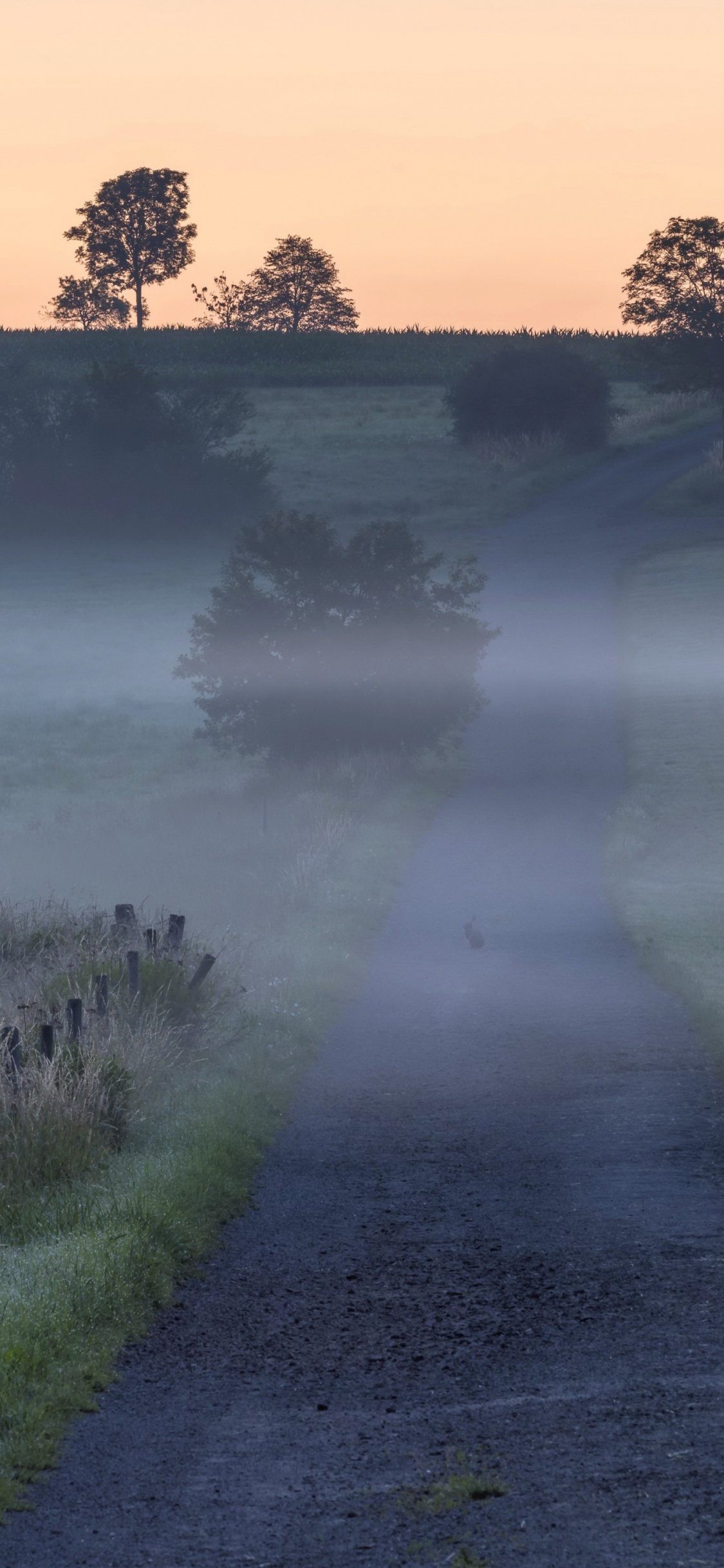 Qarakesek, Chanson, Atmosphère, Brouillard, Paysage Naturel. Wallpaper in 1125x2436 Resolution