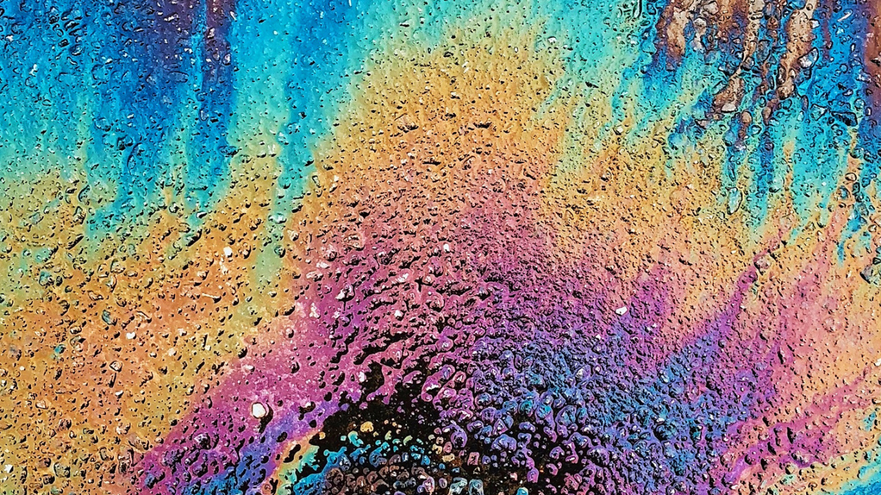 Back to School Vans, Backpack, School, Light, Green. Wallpaper in 1280x720 Resolution