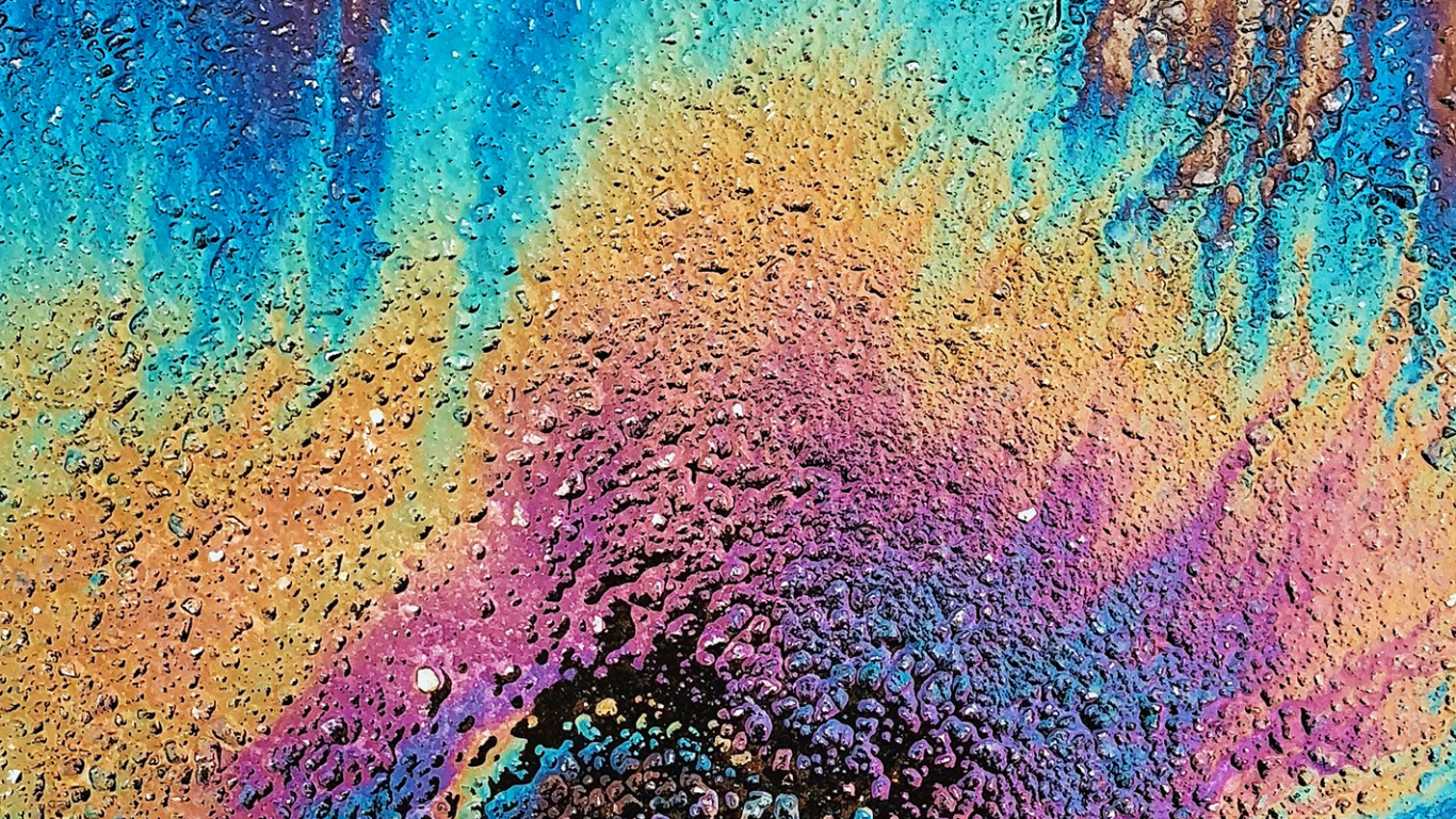 Retour Aux Fourgons Scolaires, Sac, École, Lumière, Green. Wallpaper in 1366x768 Resolution