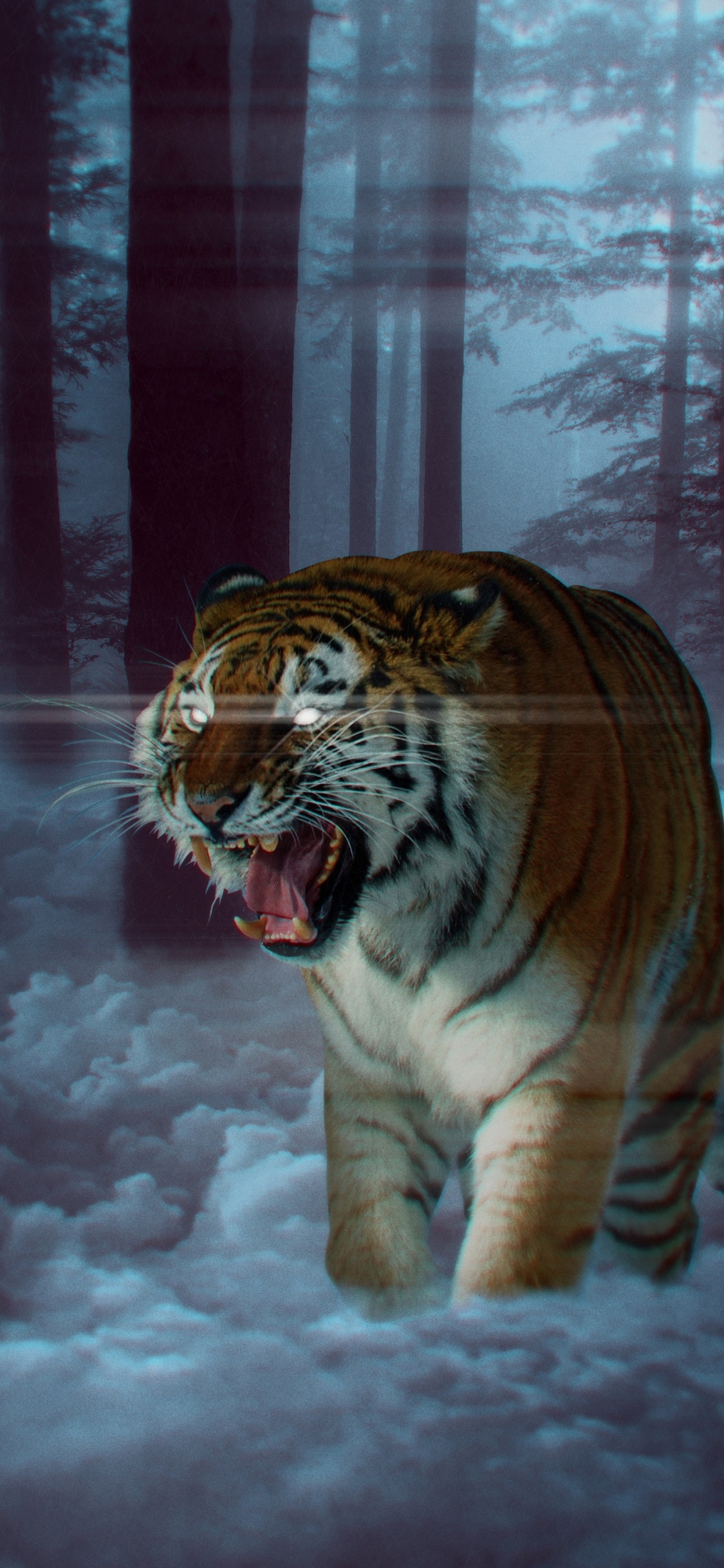 Tigre Blanco, Felidae, Leones, Tigre de Bengala, Tigre Siberiano. Wallpaper in 1125x2436 Resolution