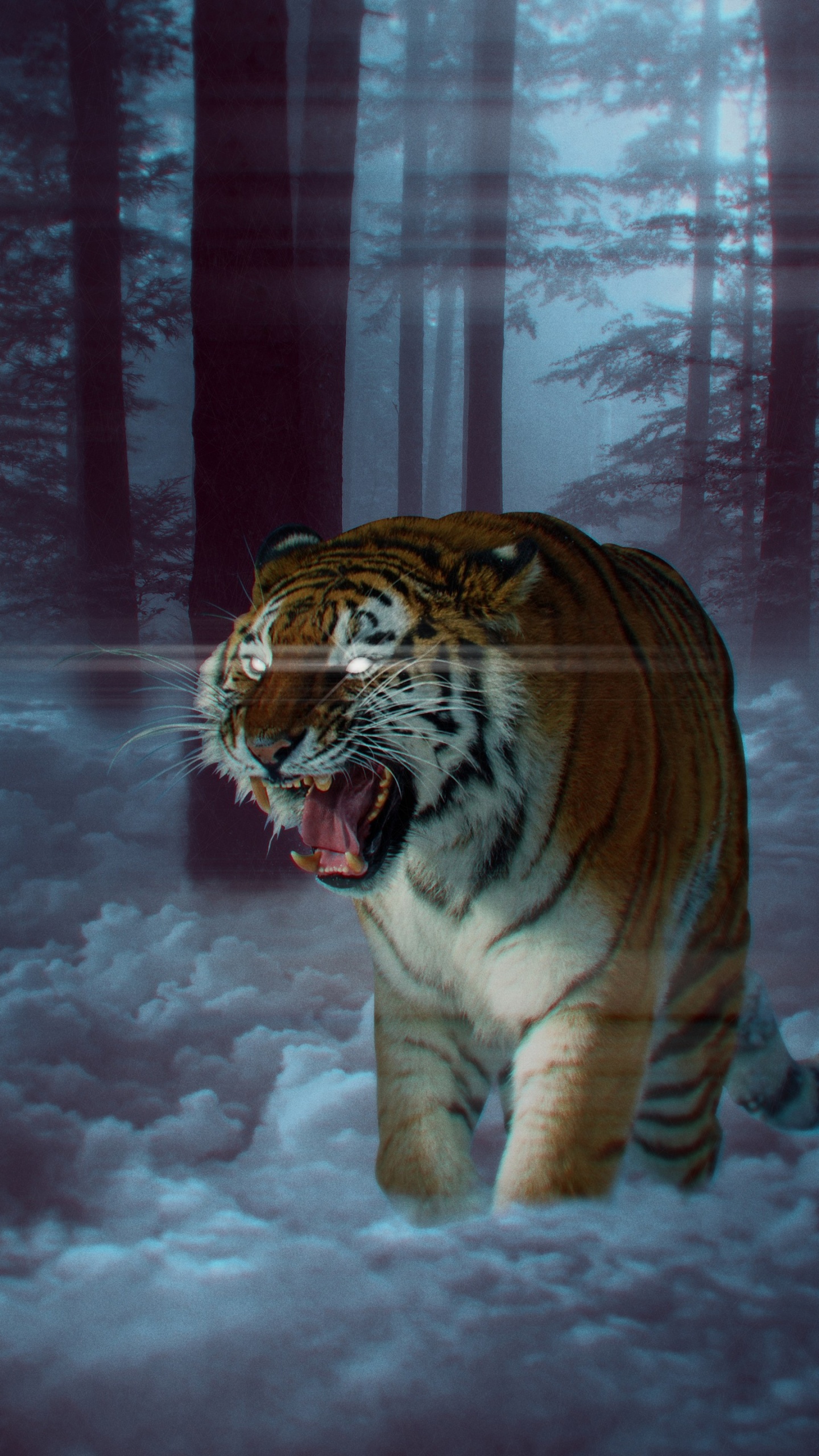 Tigre Blanco, Felidae, Leones, Tigre de Bengala, Tigre Siberiano. Wallpaper in 1440x2560 Resolution