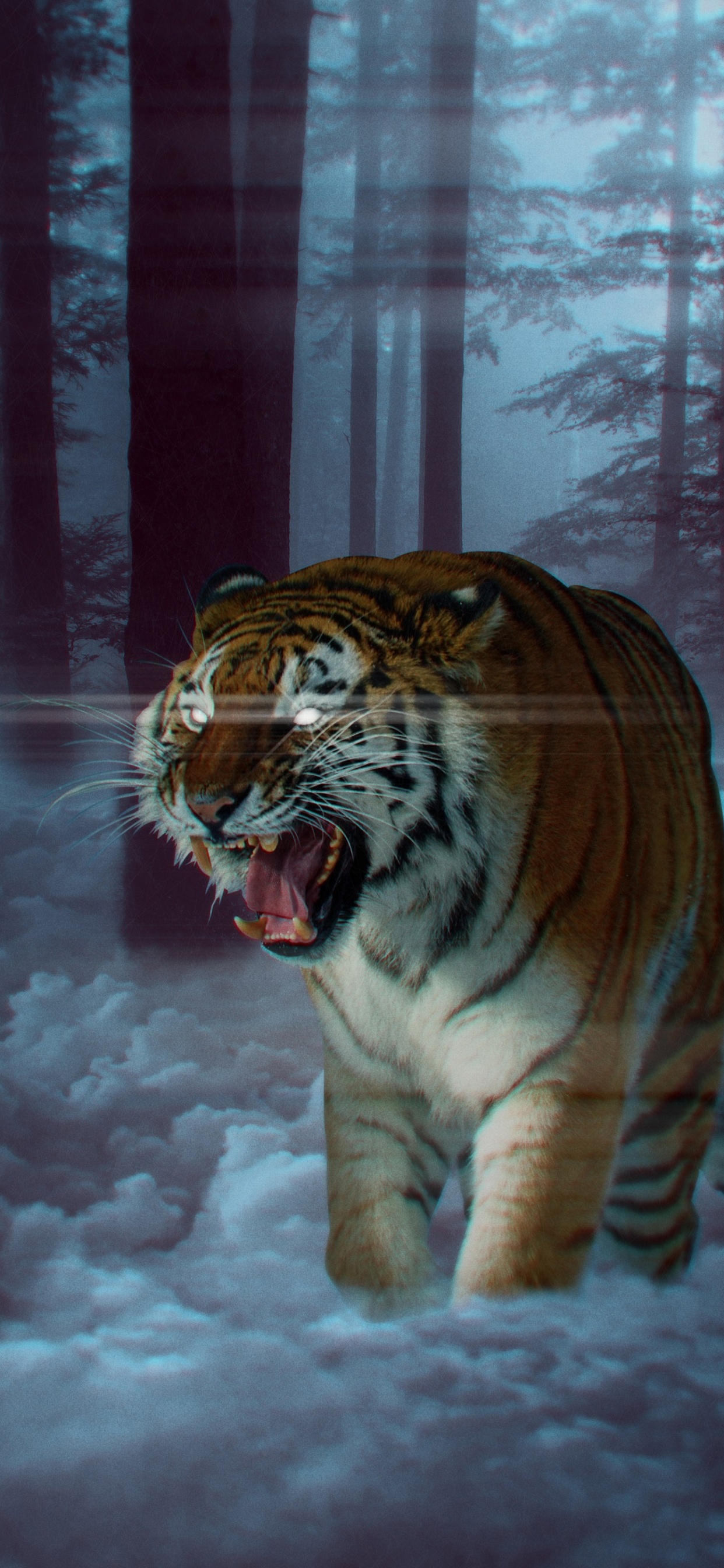 White Tiger, Felidae, Lion, Bengal Tiger, Sibirischer Tiger. Wallpaper in 1242x2688 Resolution