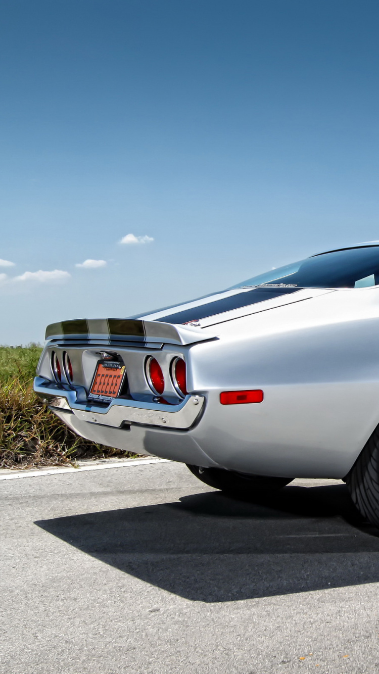 Coupé Argenté Sur Route Asphaltée Grise Pendant la Journée. Wallpaper in 750x1334 Resolution