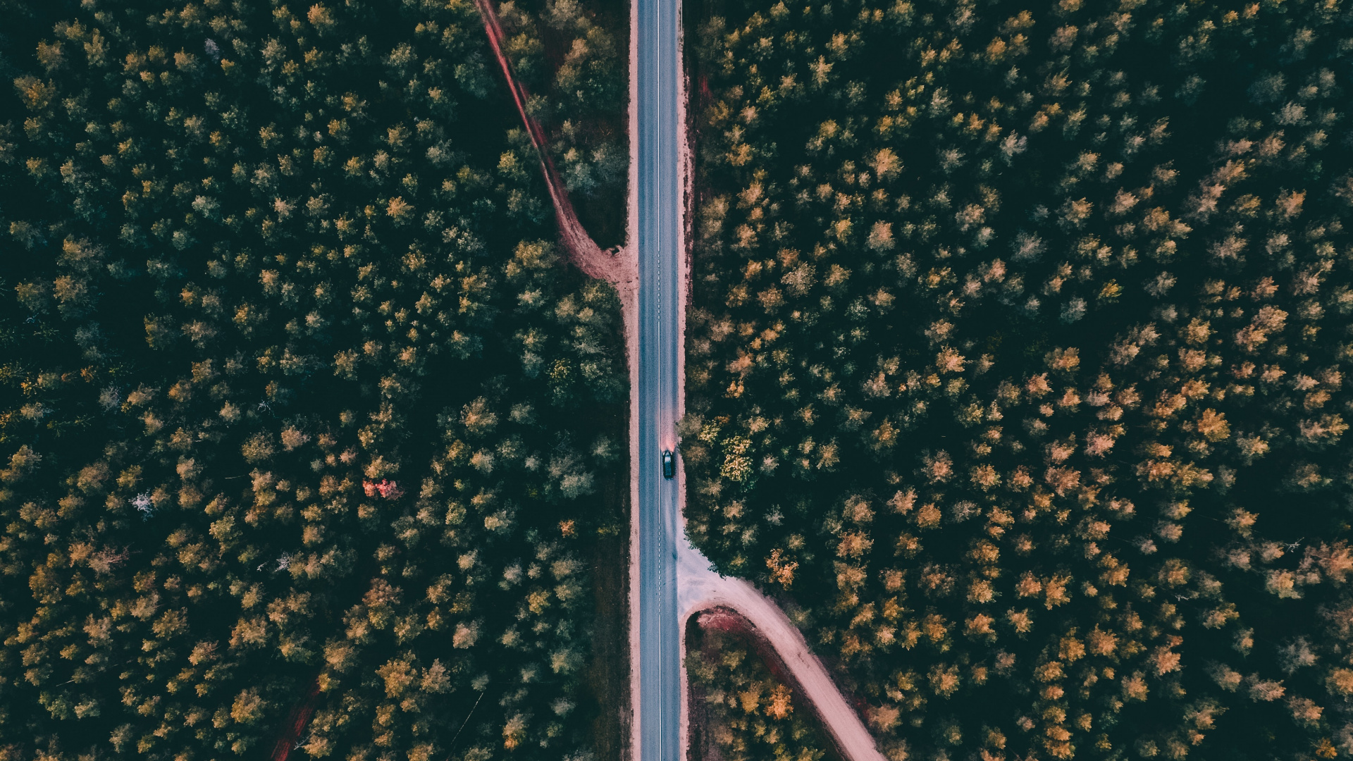 路灯, 灯光, M树 壁纸 1920x1080 允许