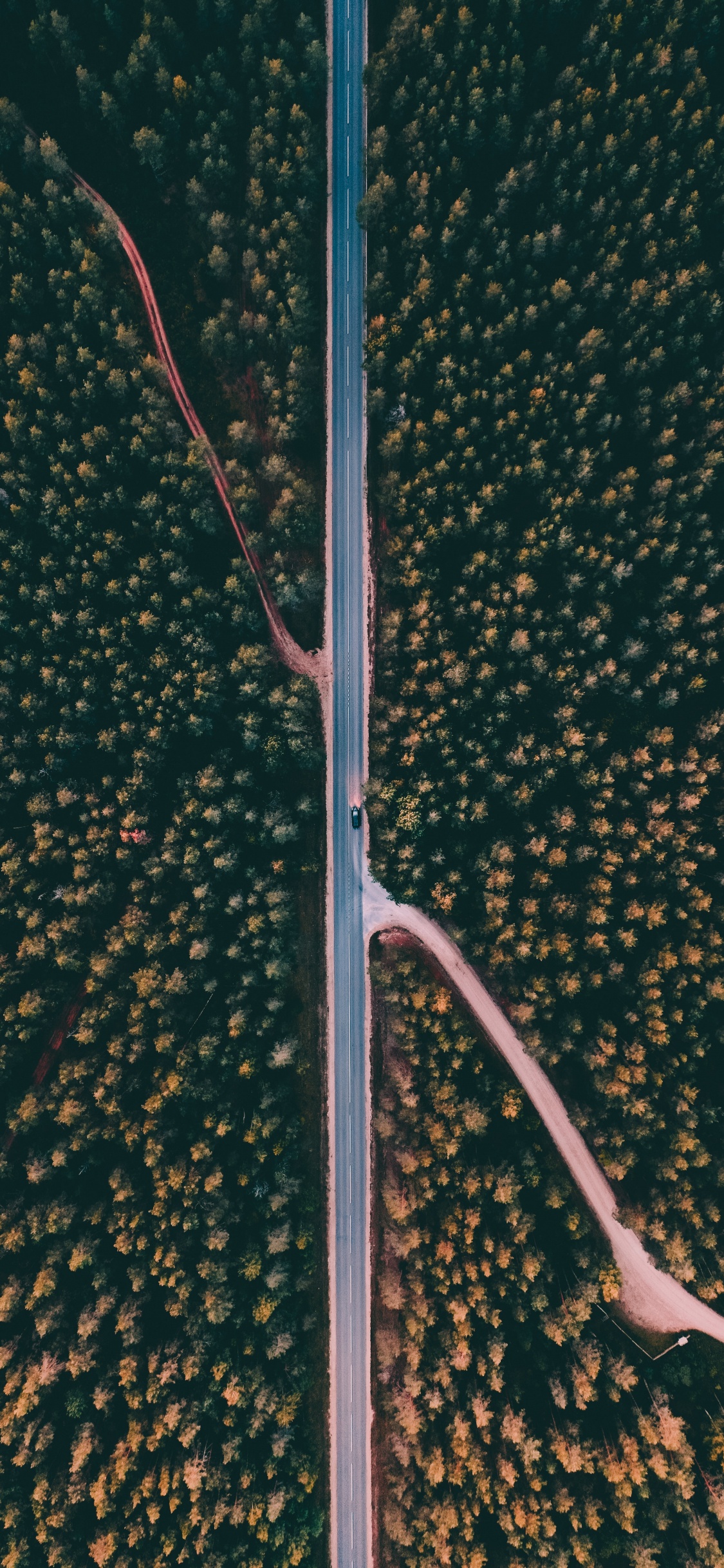 Lumière de Rue, Luminaire, Ligne, M-arbre. Wallpaper in 1125x2436 Resolution