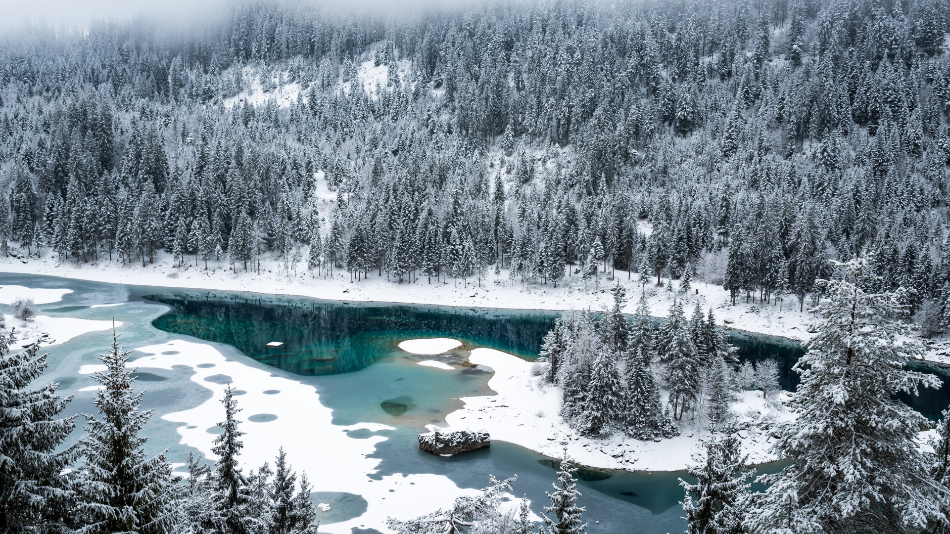 Snow Covered Trees and Lake. Wallpaper in 1920x1080 Resolution