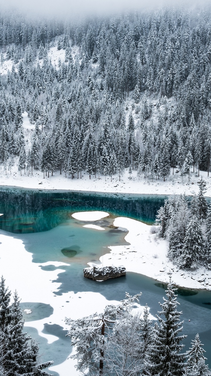 Snow Covered Trees and Lake. Wallpaper in 720x1280 Resolution