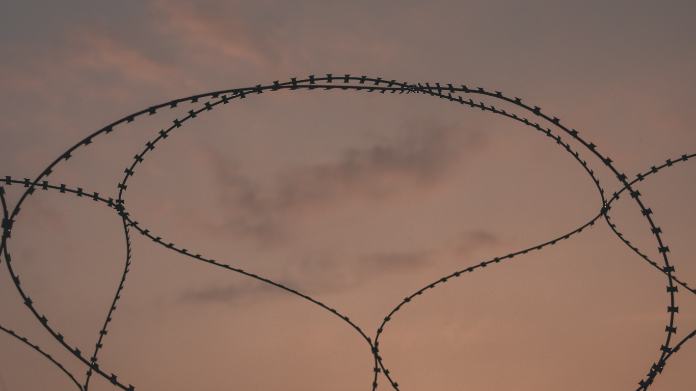 Silueta de Árboles Desnudos Durante la Puesta de Sol. Wallpaper in 1366x768 Resolution