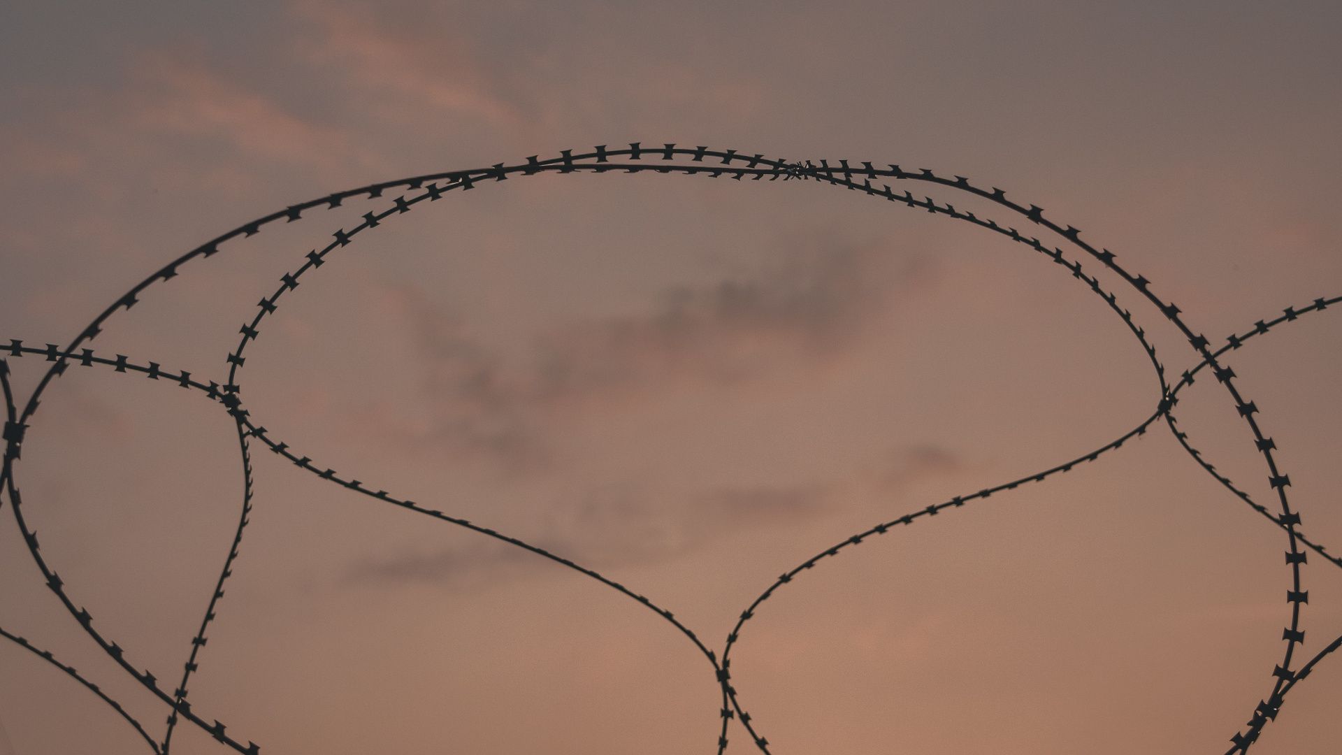 Silueta de Árboles Desnudos Durante la Puesta de Sol. Wallpaper in 1920x1080 Resolution