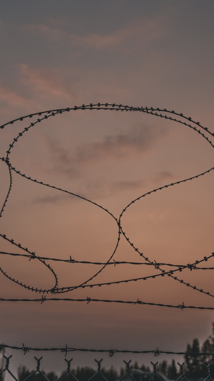 Silueta de Árboles Desnudos Durante la Puesta de Sol. Wallpaper in 720x1280 Resolution