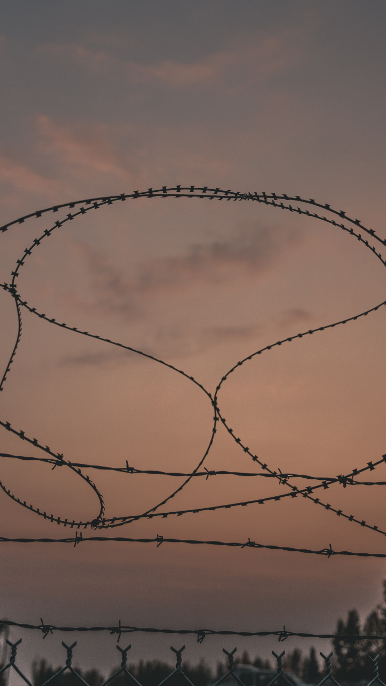 Silueta de Árboles Desnudos Durante la Puesta de Sol. Wallpaper in 750x1334 Resolution