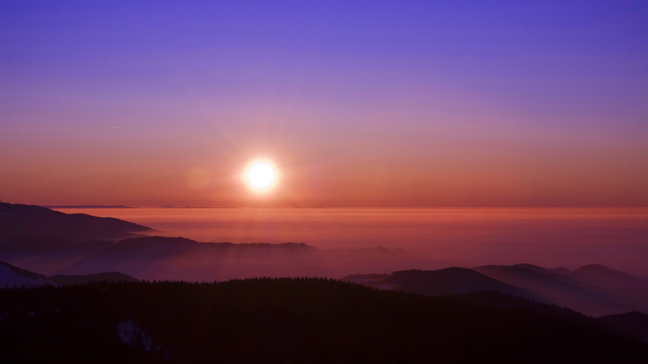 Silhouette D'arbres au Coucher du Soleil. Wallpaper in 1280x720 Resolution