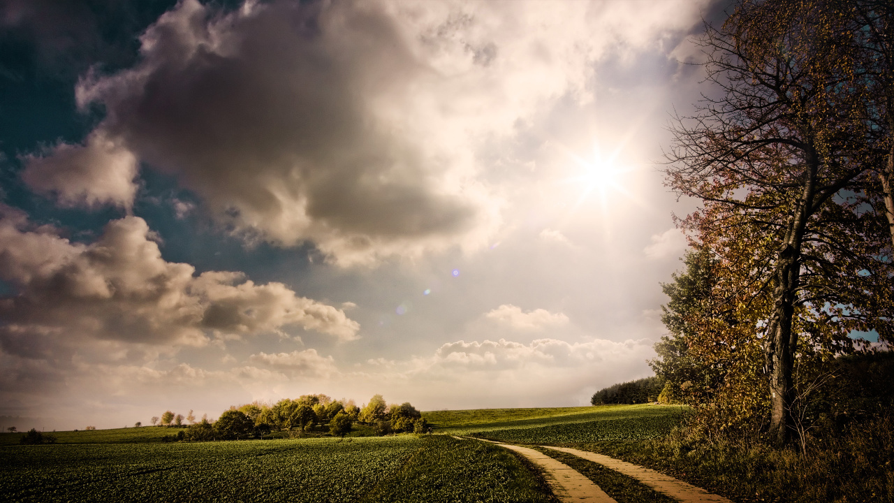 Grüne Wiese Unter Weißen Wolken Und Blauem Himmel Tagsüber. Wallpaper in 1280x720 Resolution