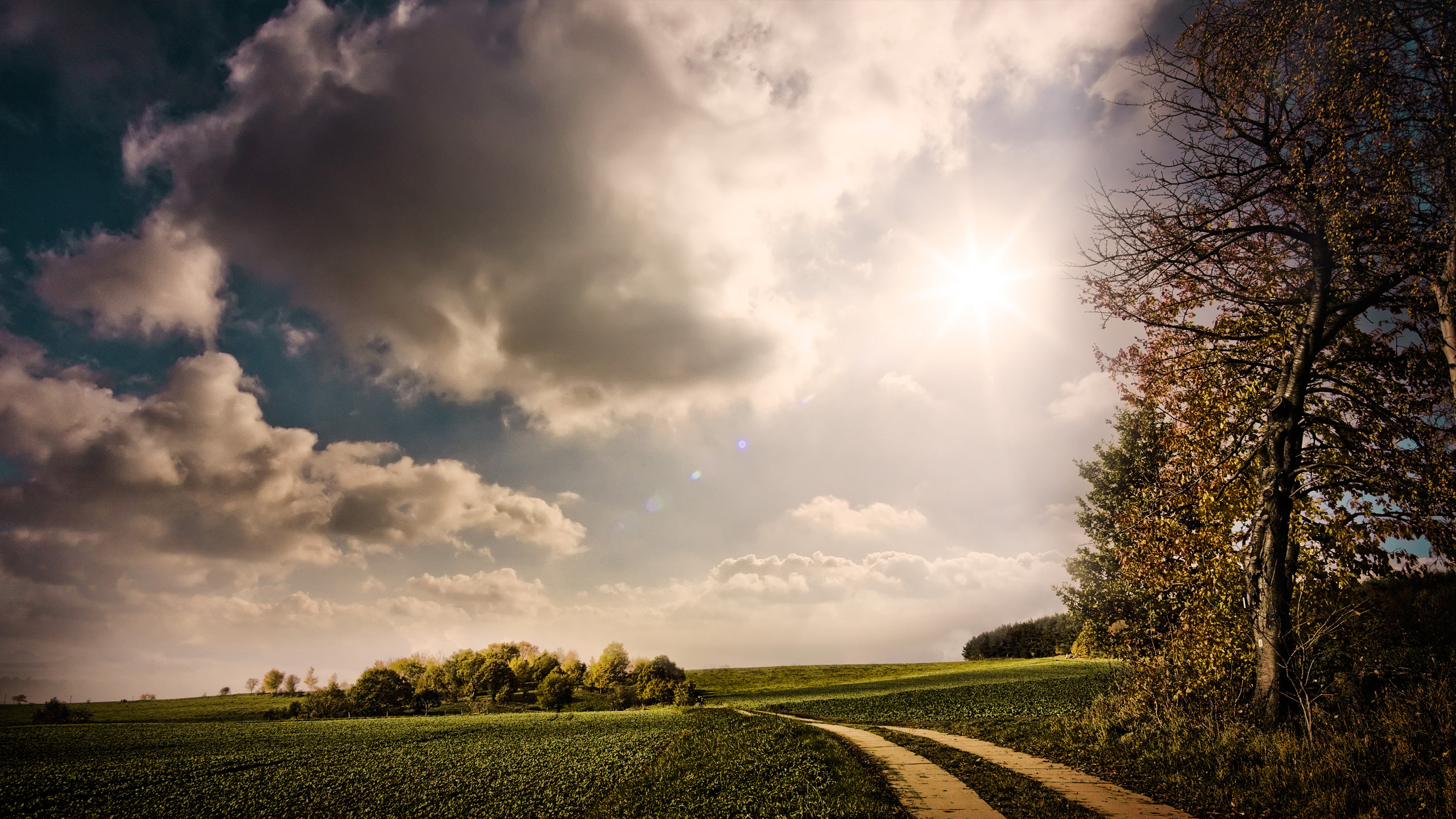 Champ D'herbe Verte Sous Les Nuages Blancs et le Ciel Bleu Pendant la Journée. Wallpaper in 2560x1440 Resolution