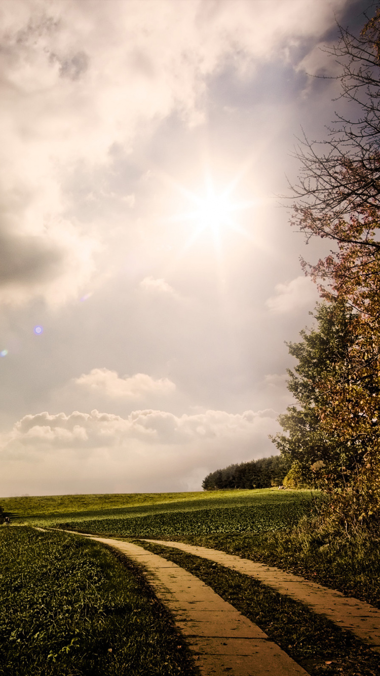 Champ D'herbe Verte Sous Les Nuages Blancs et le Ciel Bleu Pendant la Journée. Wallpaper in 750x1334 Resolution