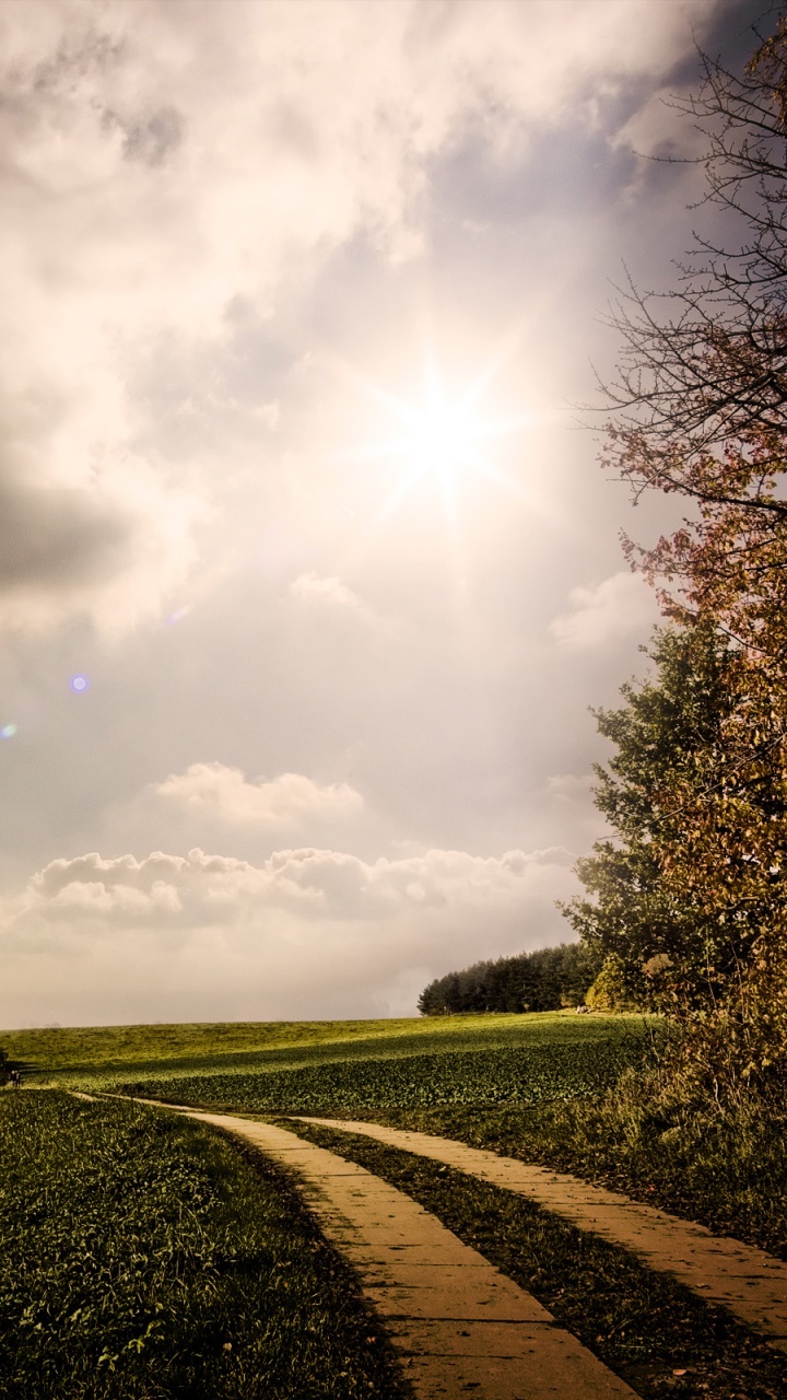 Green Grass Field Under White Clouds and Blue Sky During Daytime. Wallpaper in 720x1280 Resolution