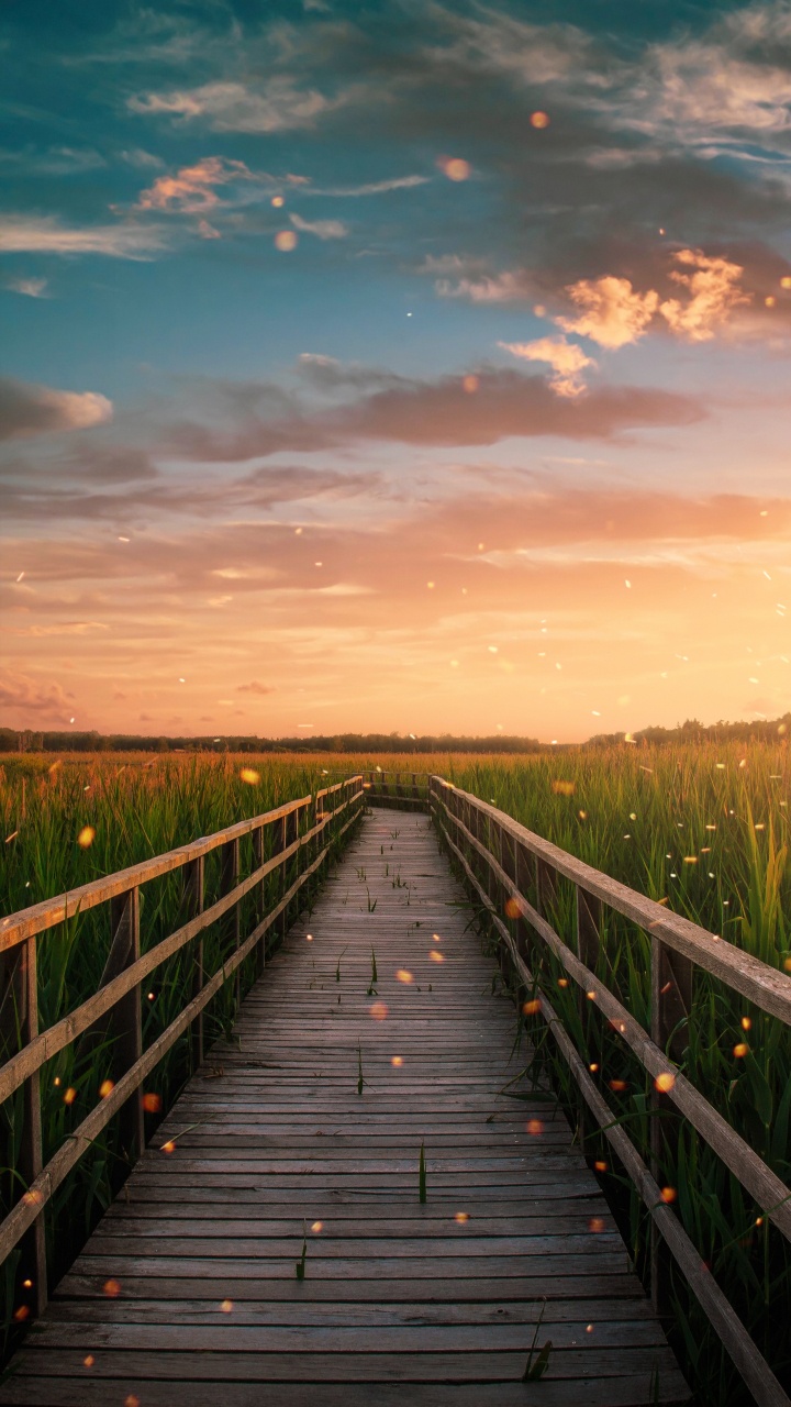 Afterglow, Nature, Paysage Naturel. Wallpaper in 720x1280 Resolution