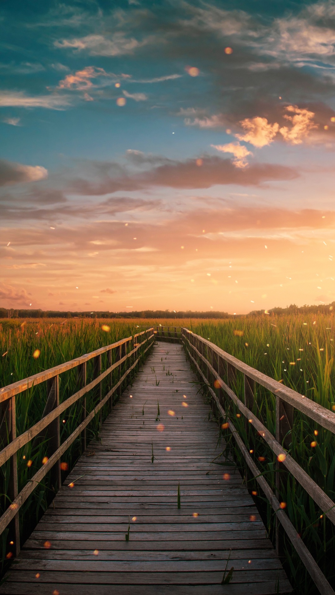 Cloud, Afterglow, Natur, Holz, Naturlandschaft. Wallpaper in 1080x1920 Resolution