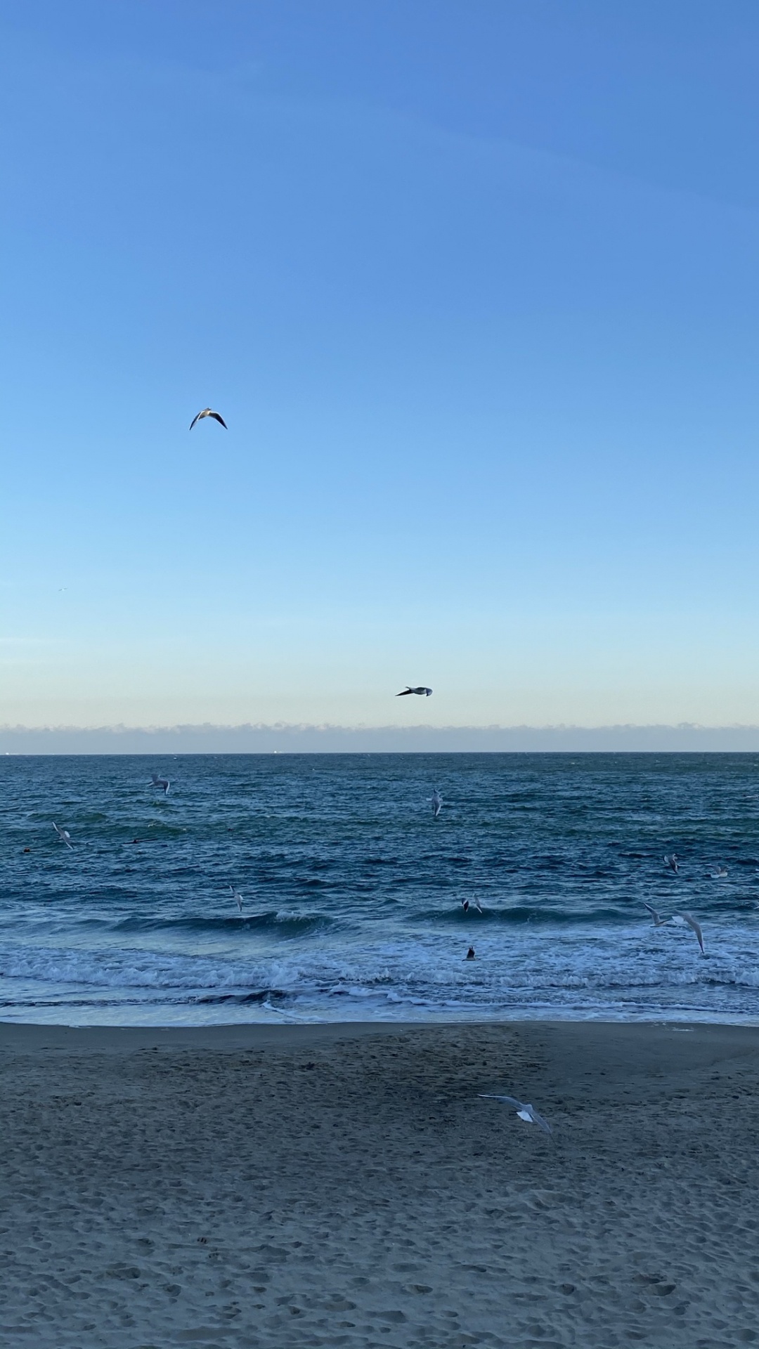 大海, 营地, 人体内的水, 流体, 液体 壁纸 1080x1920 允许