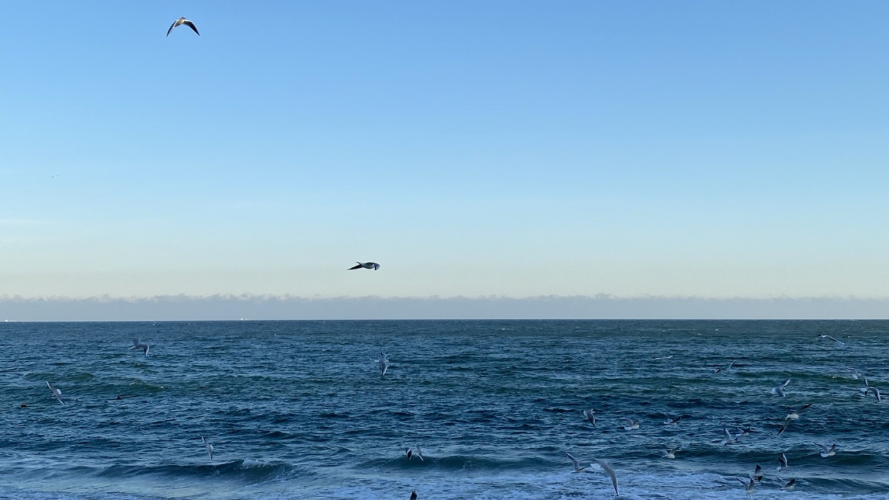 大海, 营地, 人体内的水, 流体, 液体 壁纸 1280x720 允许