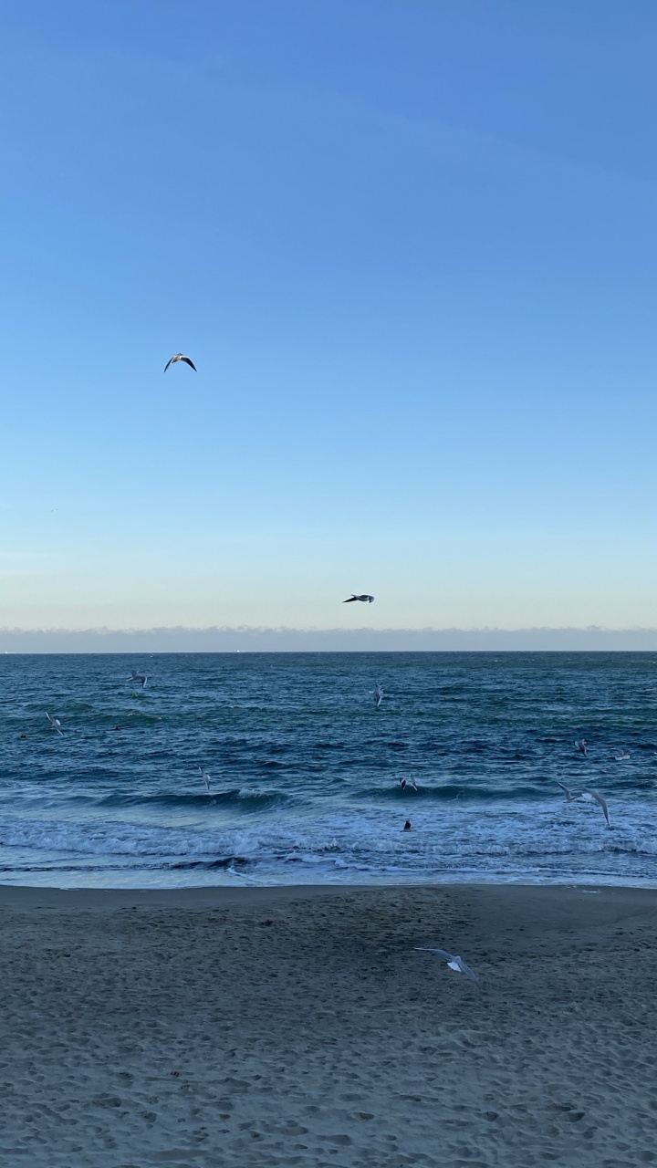 大海, 营地, 人体内的水, 流体, 液体 壁纸 720x1280 允许