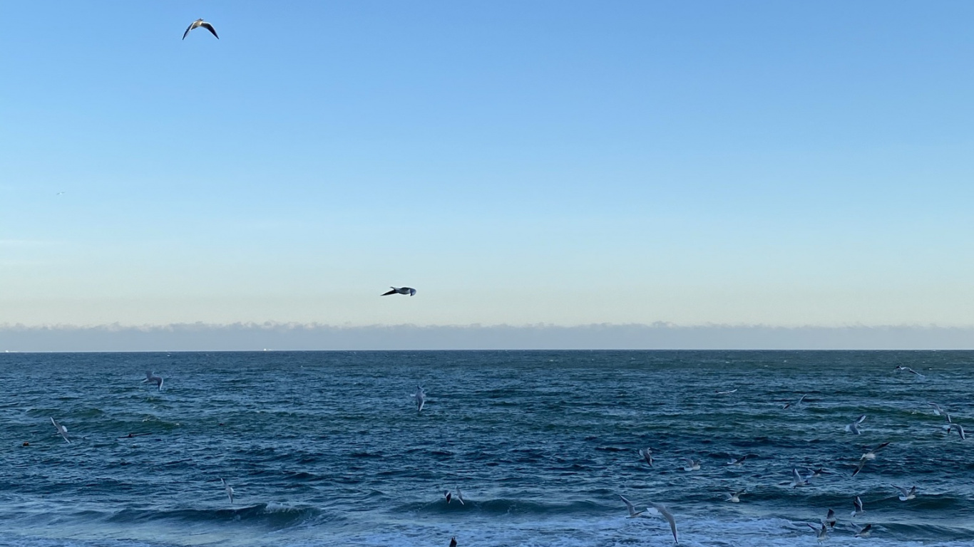 Sea, Onoville Marina Park, Onoville, Campsite, Allegheny Reservoir. Wallpaper in 1366x768 Resolution