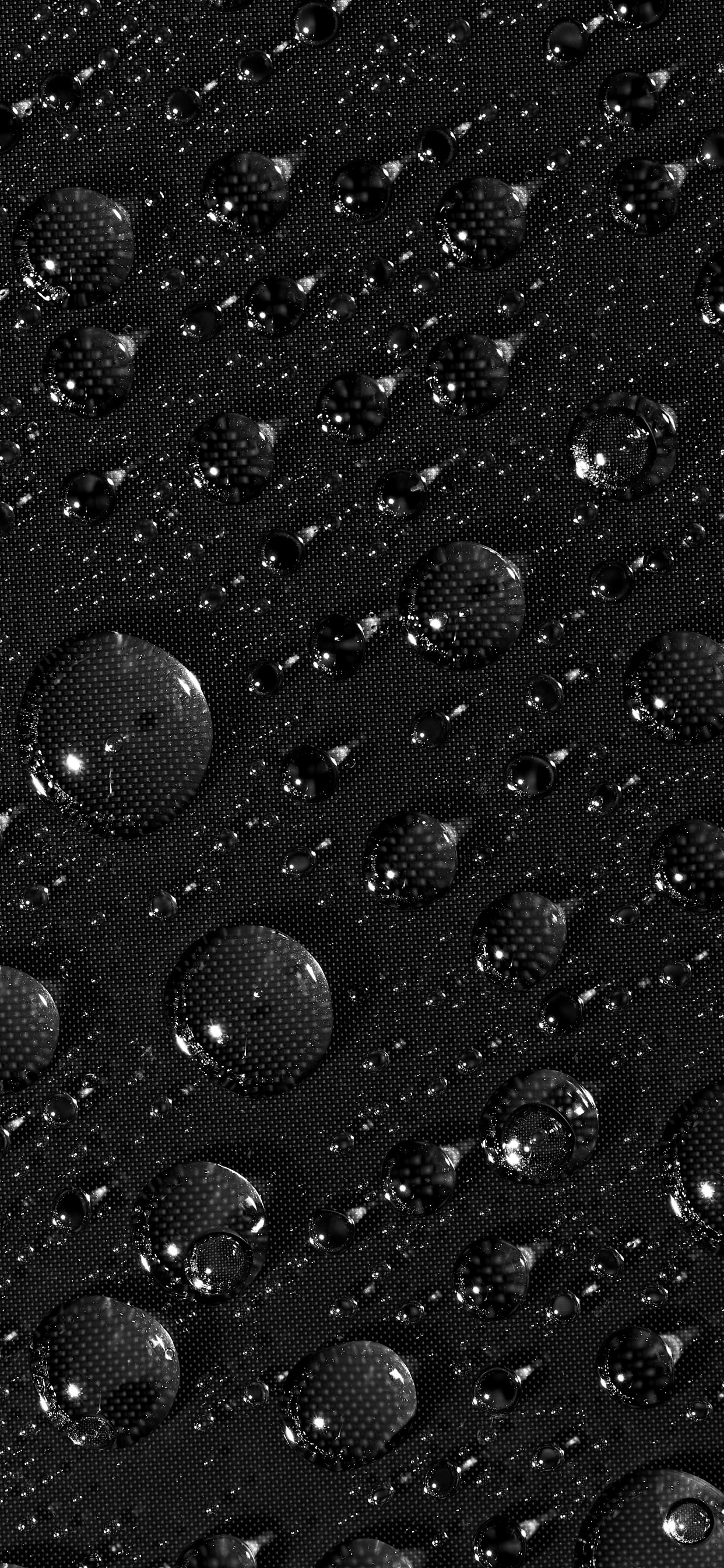 Regen, Tropfen, Wasser, Schwarz Und Weiß, Atmosphäre. Wallpaper in 1242x2688 Resolution