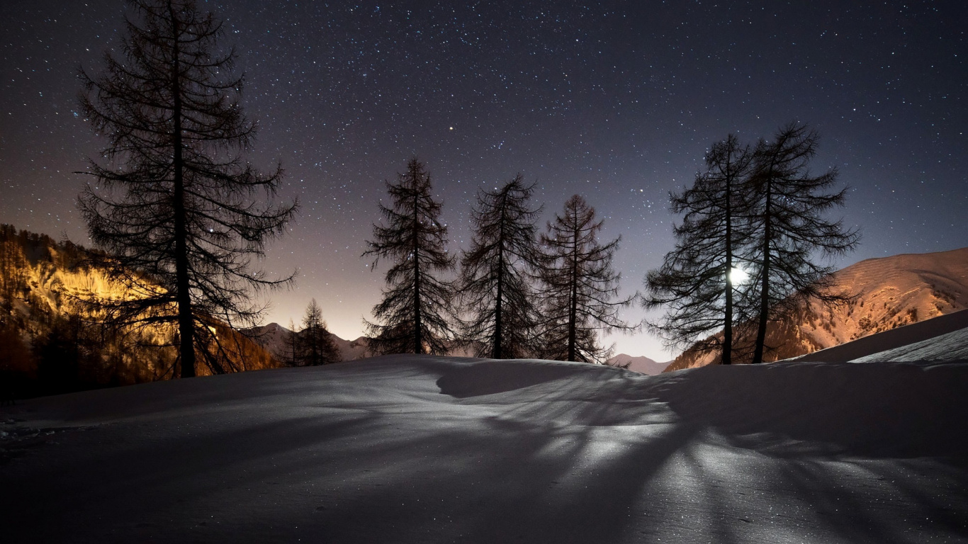 Schneebedecktes Feld Und Bäume Während Der Nacht. Wallpaper in 1366x768 Resolution