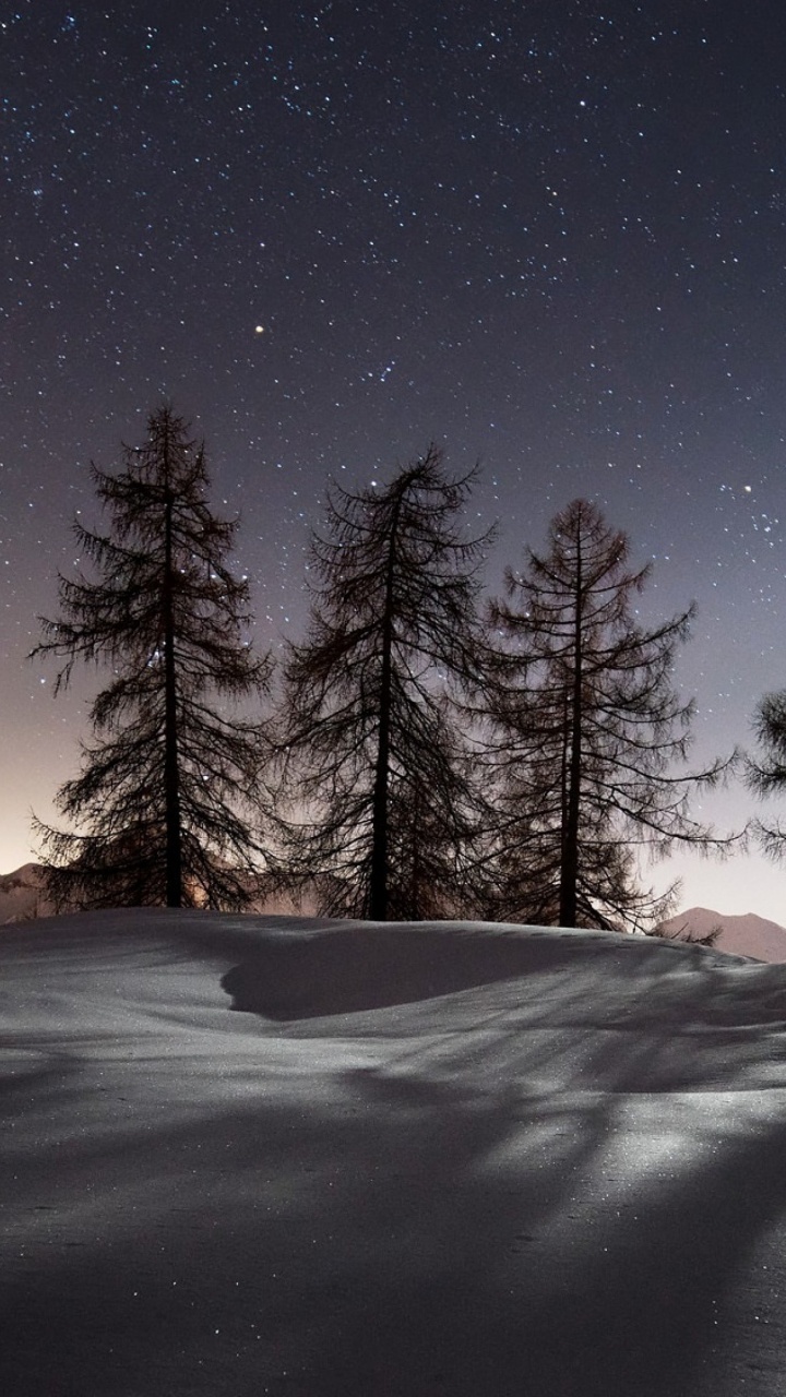 Schneebedecktes Feld Und Bäume Während Der Nacht. Wallpaper in 720x1280 Resolution