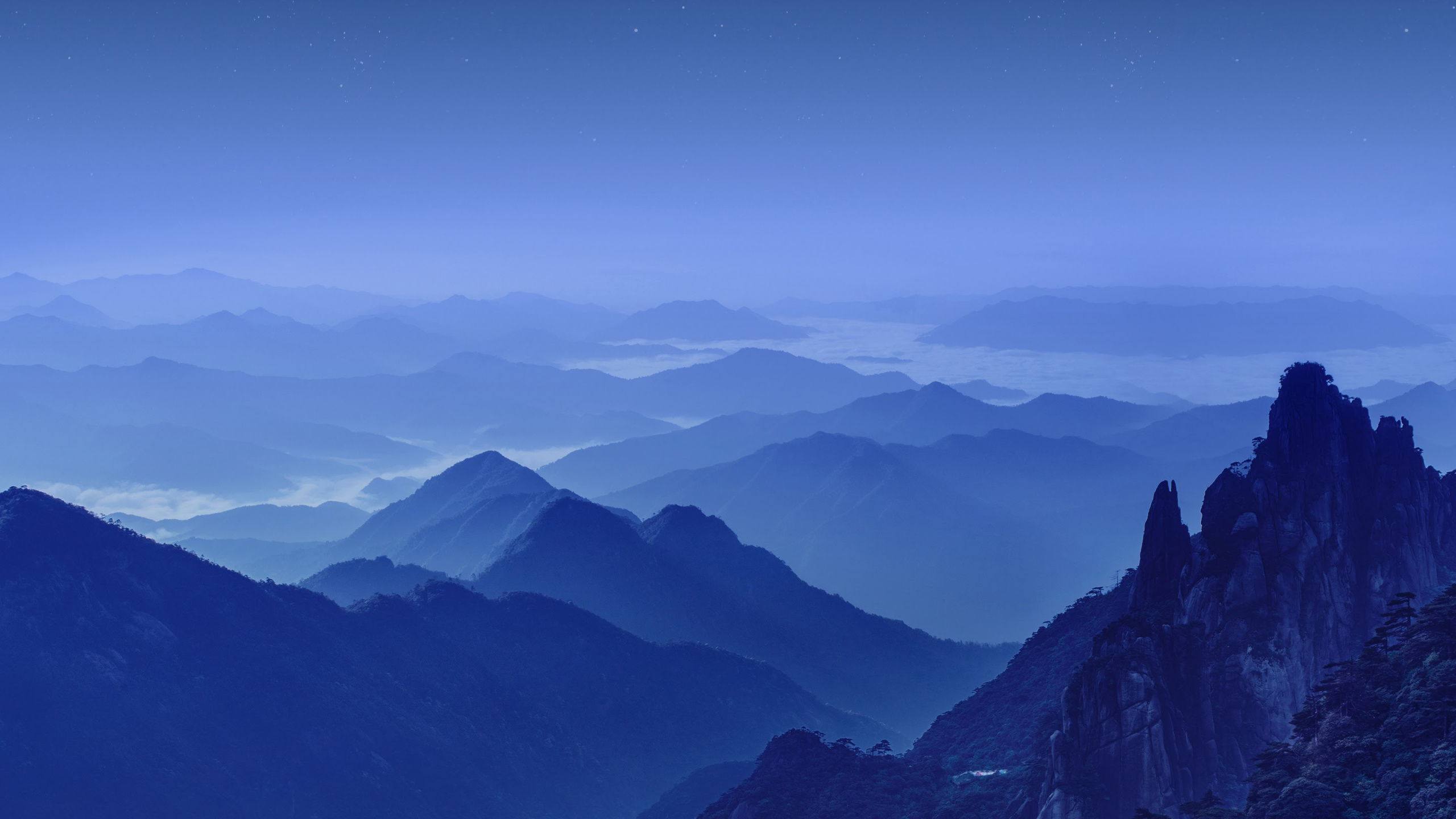 Huawei, Huawei Mate, Huawei Mate 10, Huawei Mate 10 Pro, Huawei Mate 9. Wallpaper in 2560x1440 Resolution