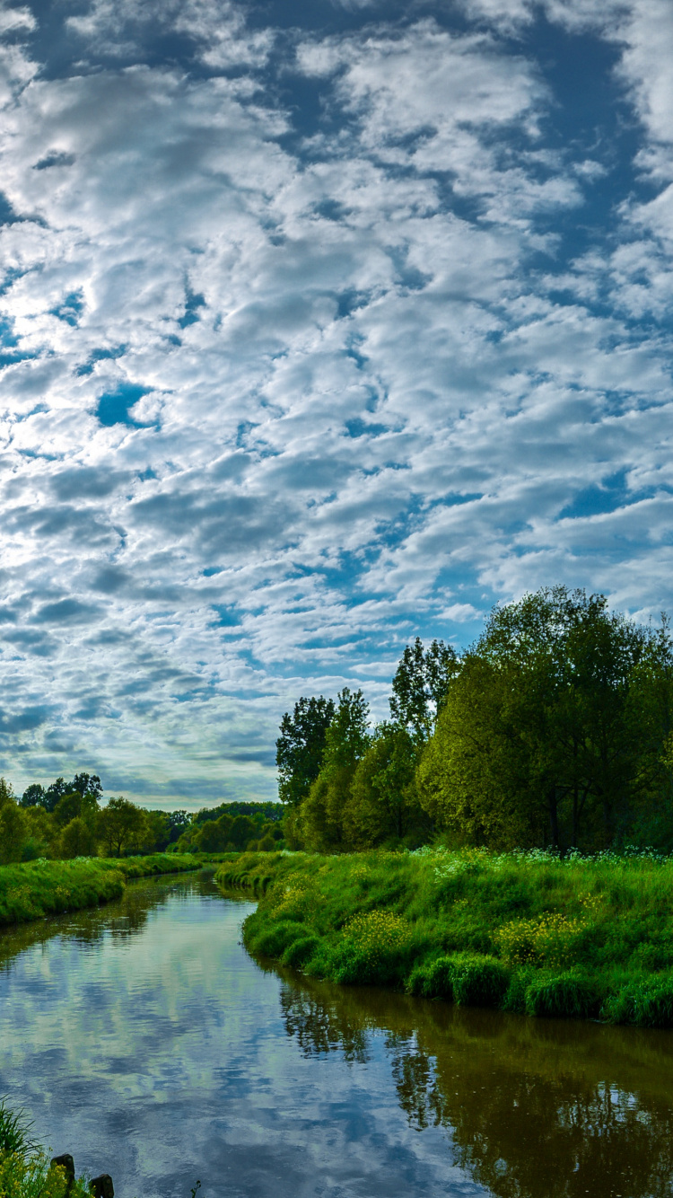 Campo de Hierba Verde Cerca Del Cuerpo de Agua Bajo Las Nubes Blancas y el Cielo Azul Durante el Día. Wallpaper in 750x1334 Resolution