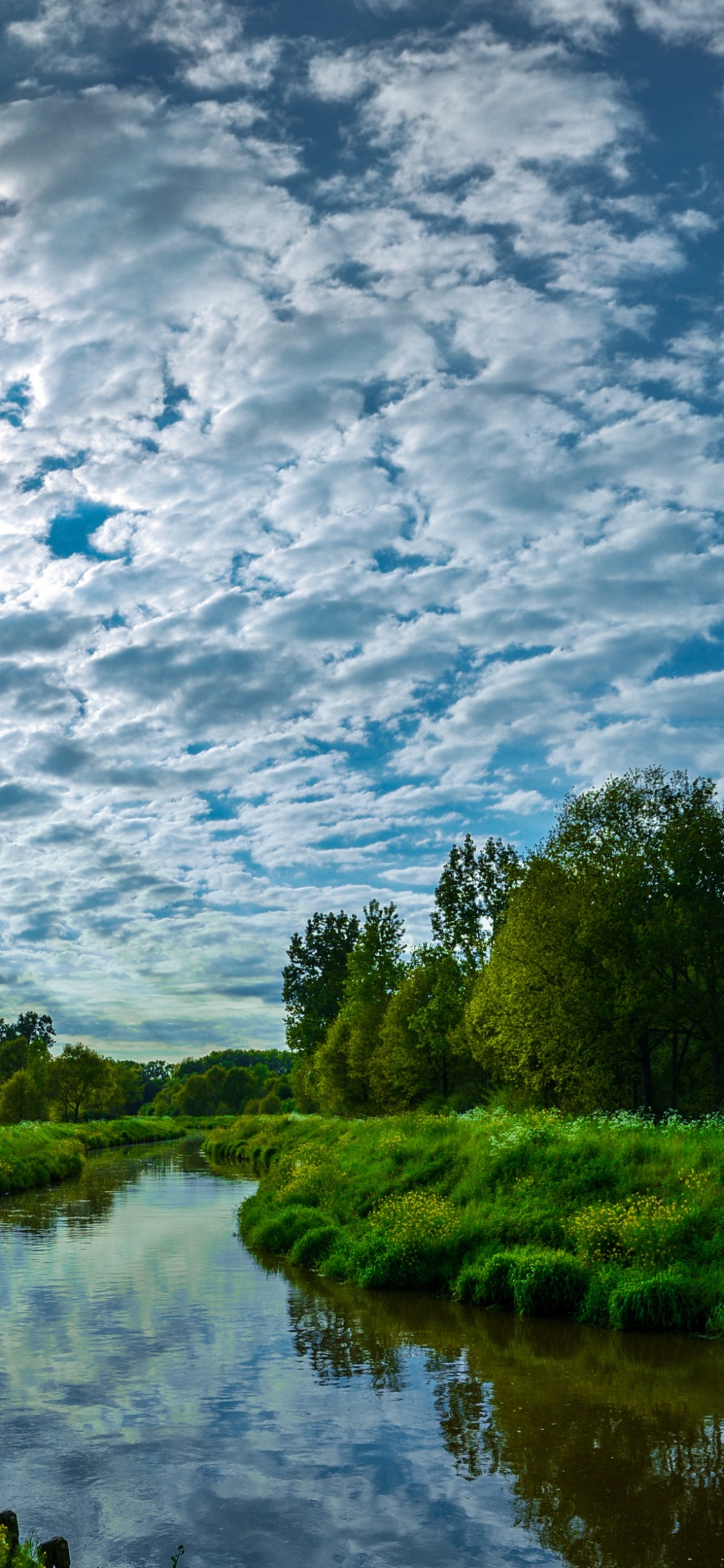 Grüne Wiese in Der Nähe Von Gewässern Unter Weißen Wolken Und Blauem Himmel Tagsüber. Wallpaper in 1125x2436 Resolution