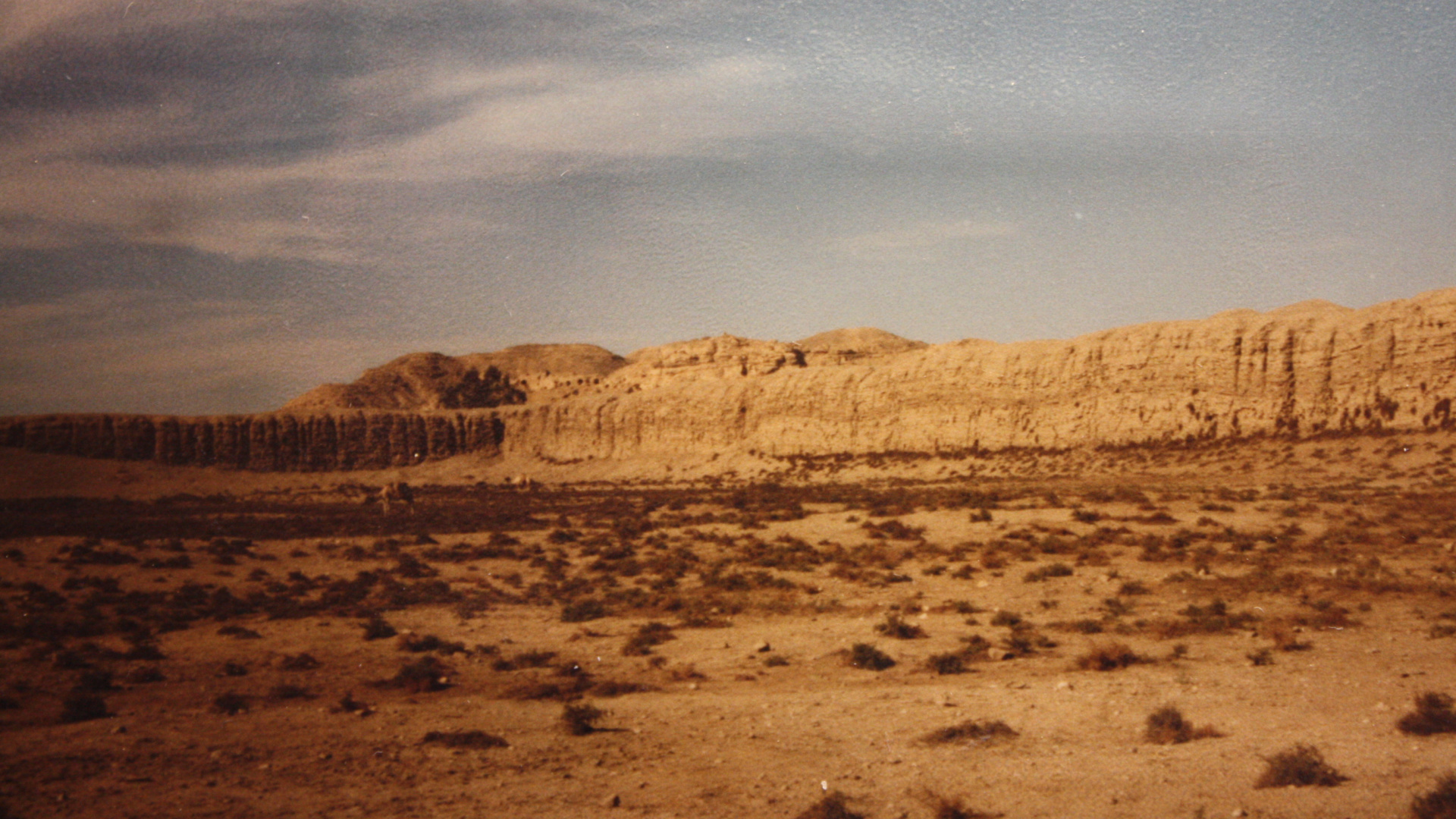 生态区, 荒地, Wadi, 地质学, 草原 壁纸 1920x1080 允许