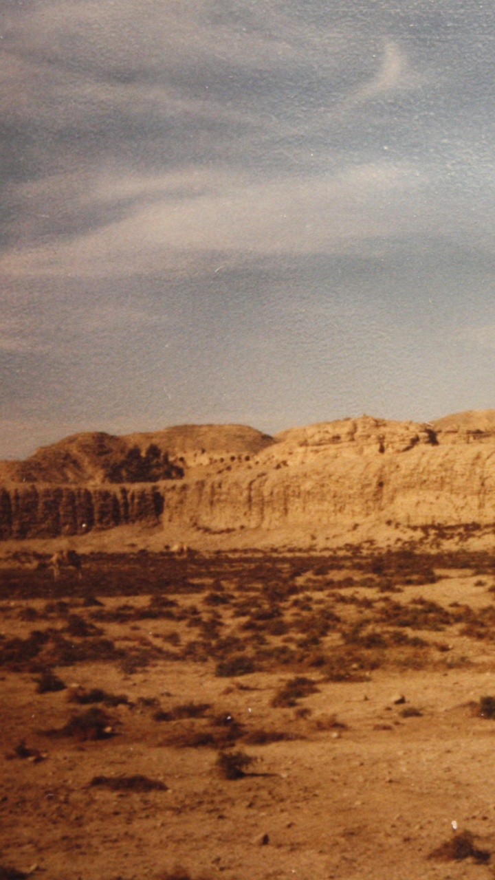 生态区, 荒地, Wadi, 地质学, 草原 壁纸 720x1280 允许